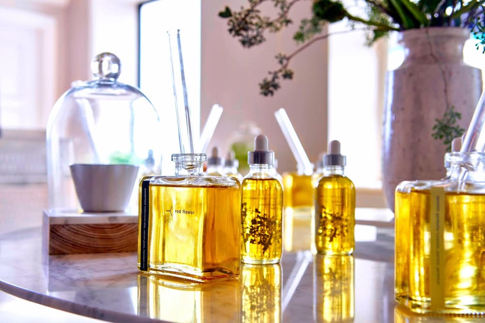 Фото The Adolphus, Autograph Collection