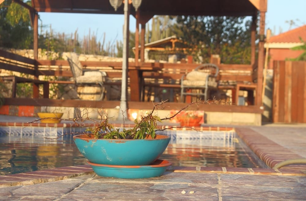 Фото Fuego Mio Bed & Breakfast