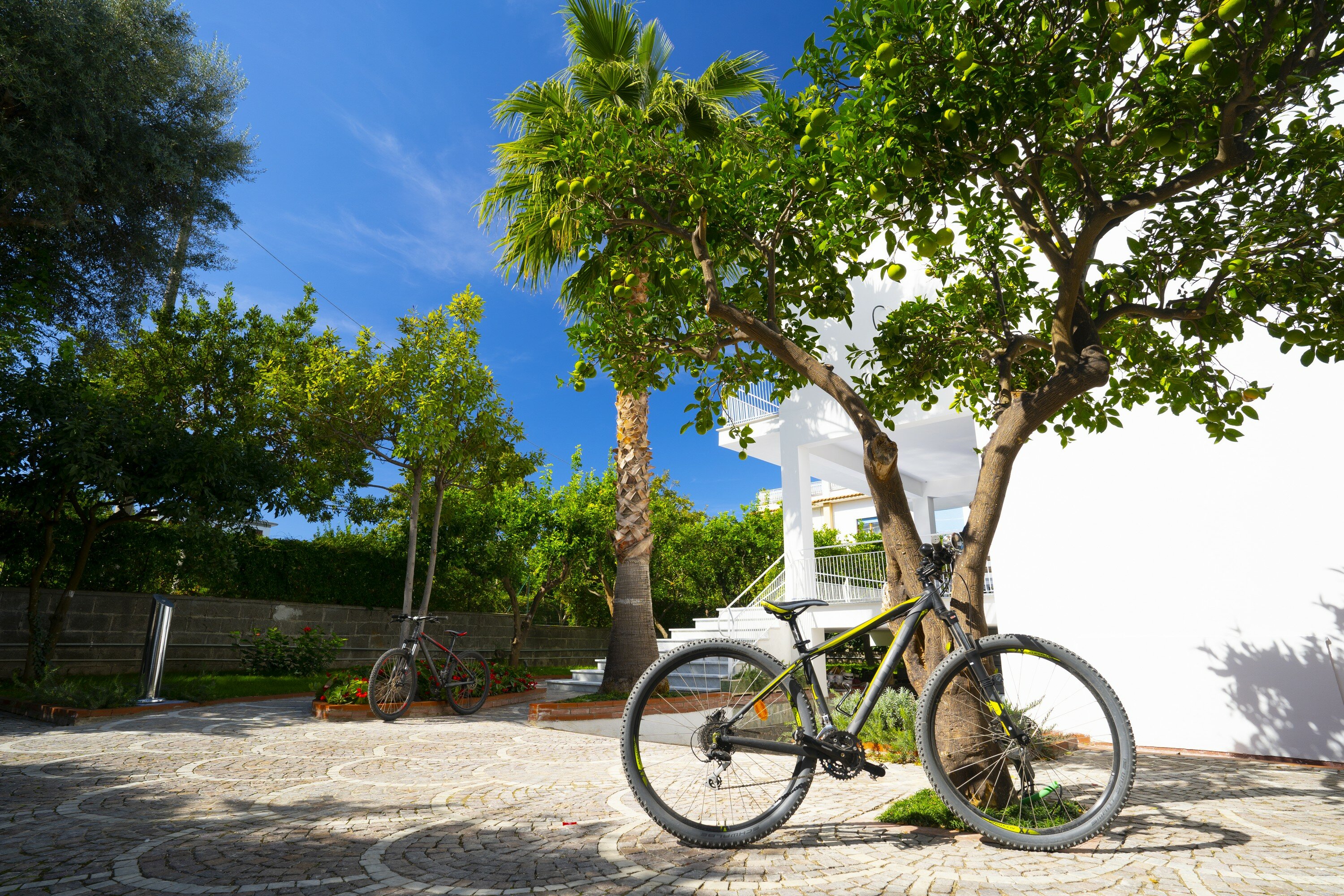 Фото Villa Cettina Boutique Hotel