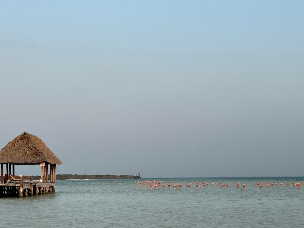 Фото La Diosa Kali Beach Front Hotel