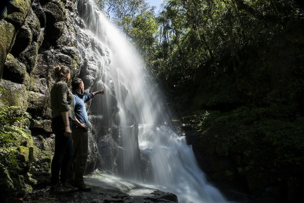 Фото Mocona Virgin Lodge