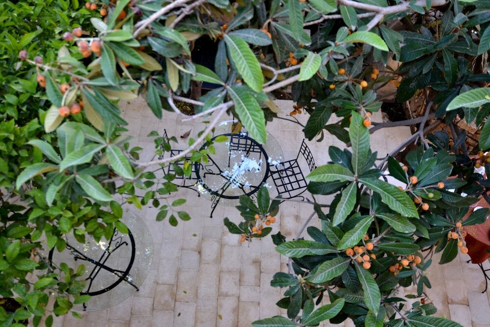 Фото Gagliardi Boutique Hotel