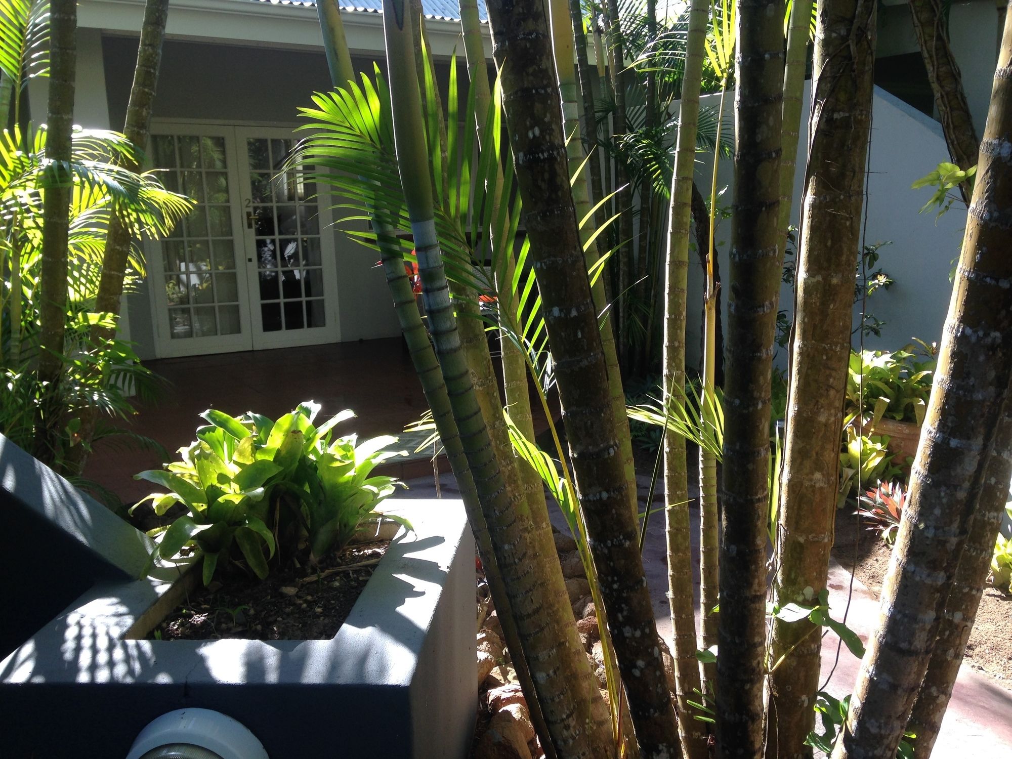 Фото St. Lucia Kingfisher Lodge