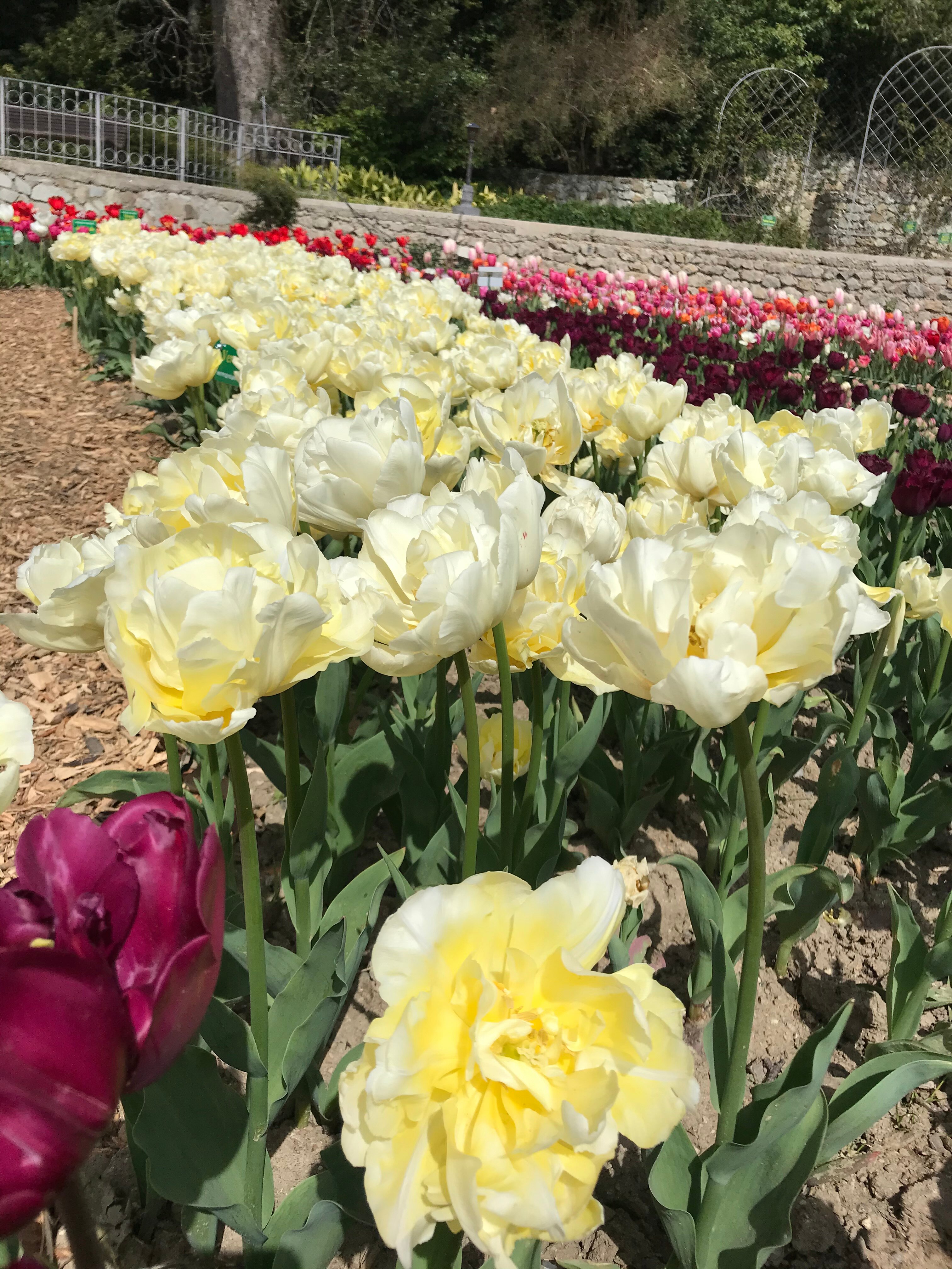 Фото Гостевой дом Прекрасная гавань