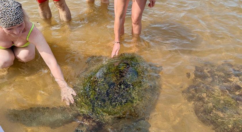 Фото Bliss Luxury Apartment