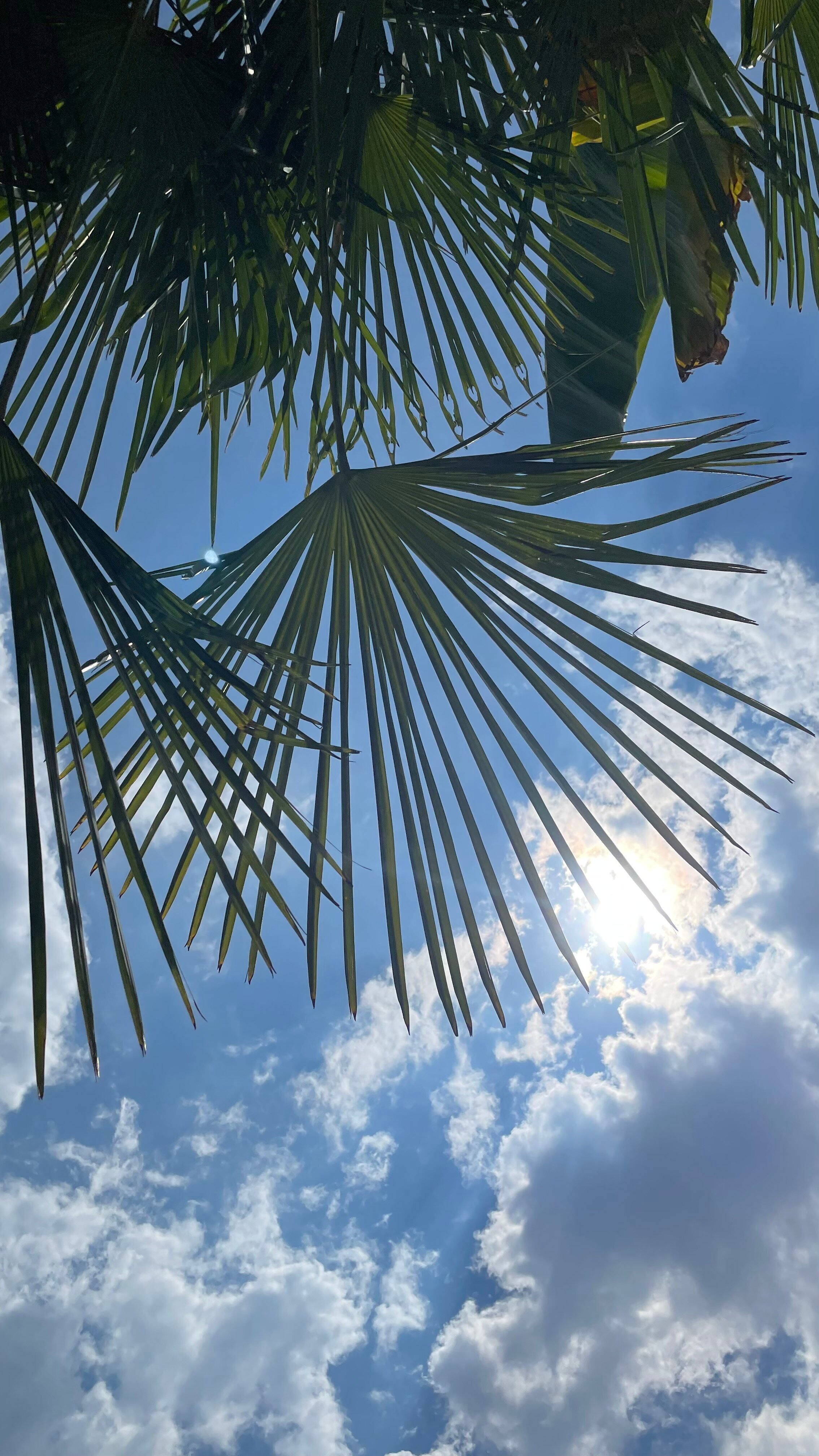 Фото Рассвет