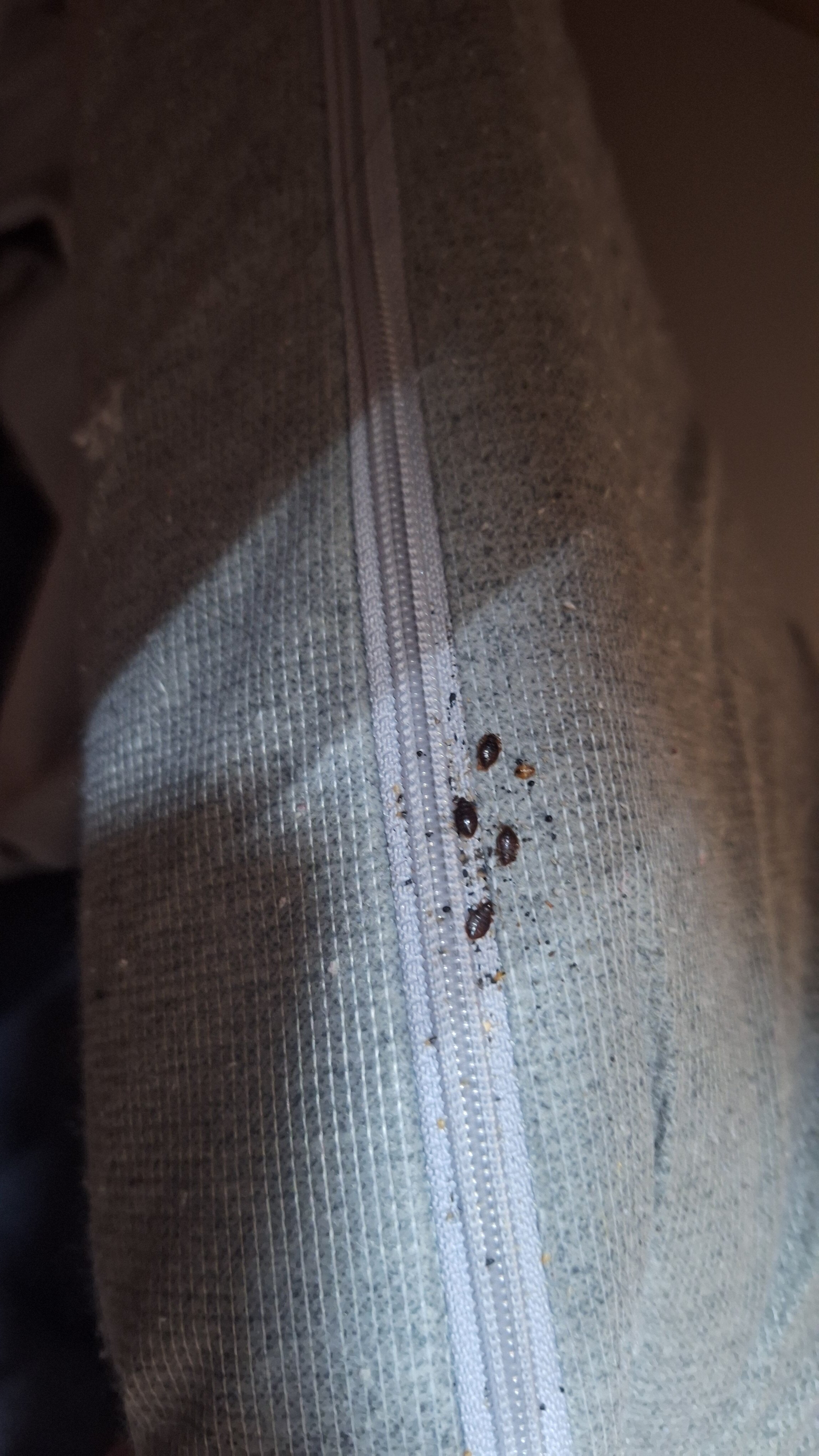 Фото Плацкарт