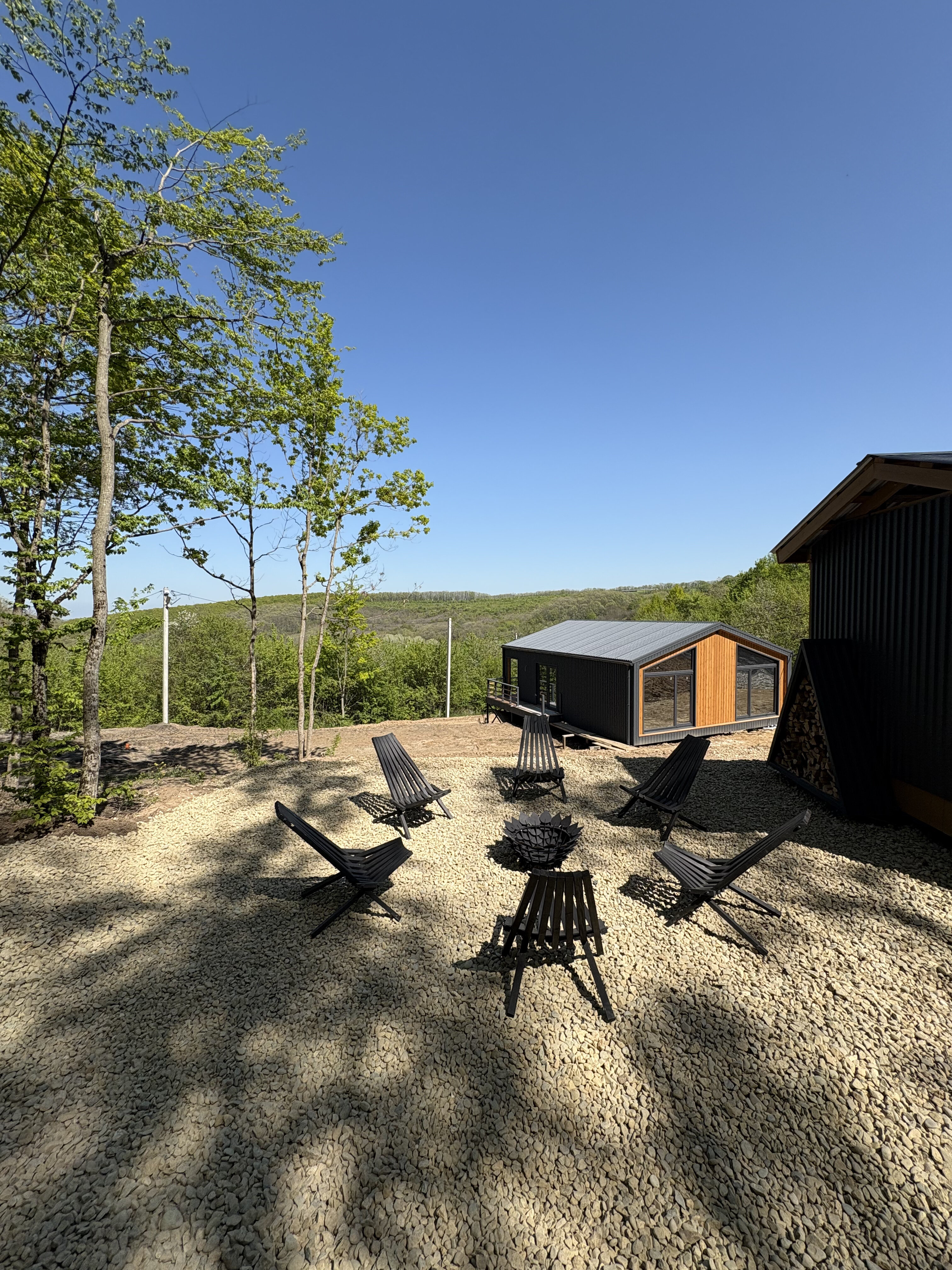 Фото Лес Азовская