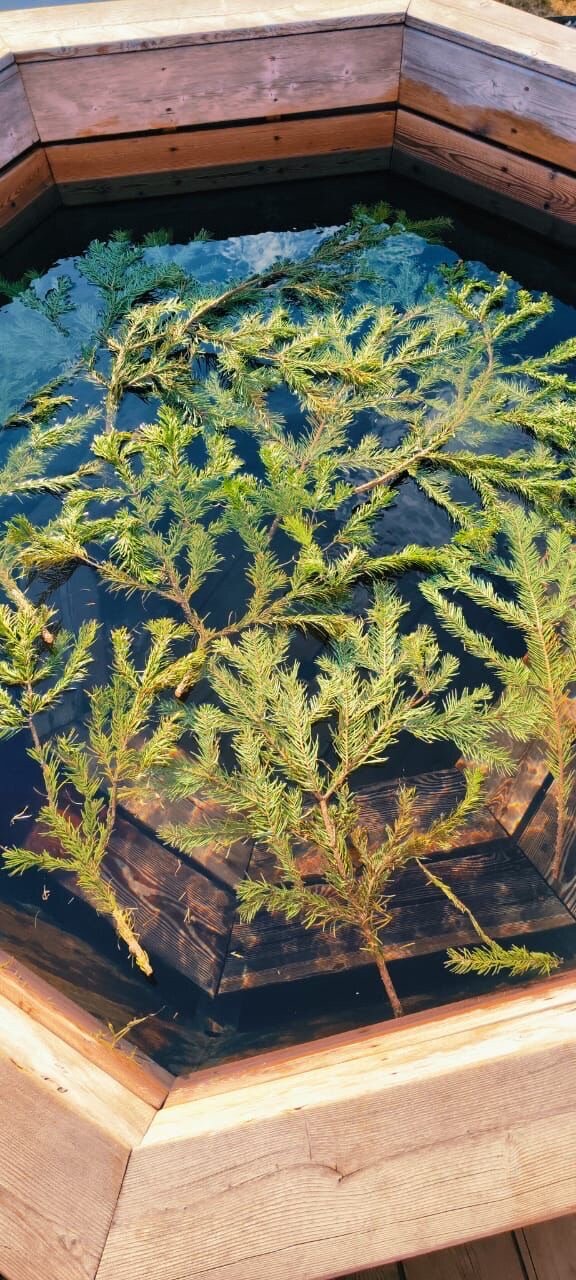 Фото Гевара Дача