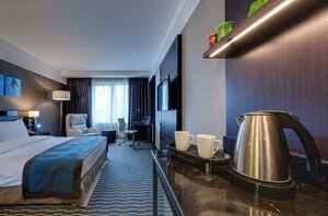 Radisson Blu (Chisinau, strada Mitropolit Varlaam, 77), hotel