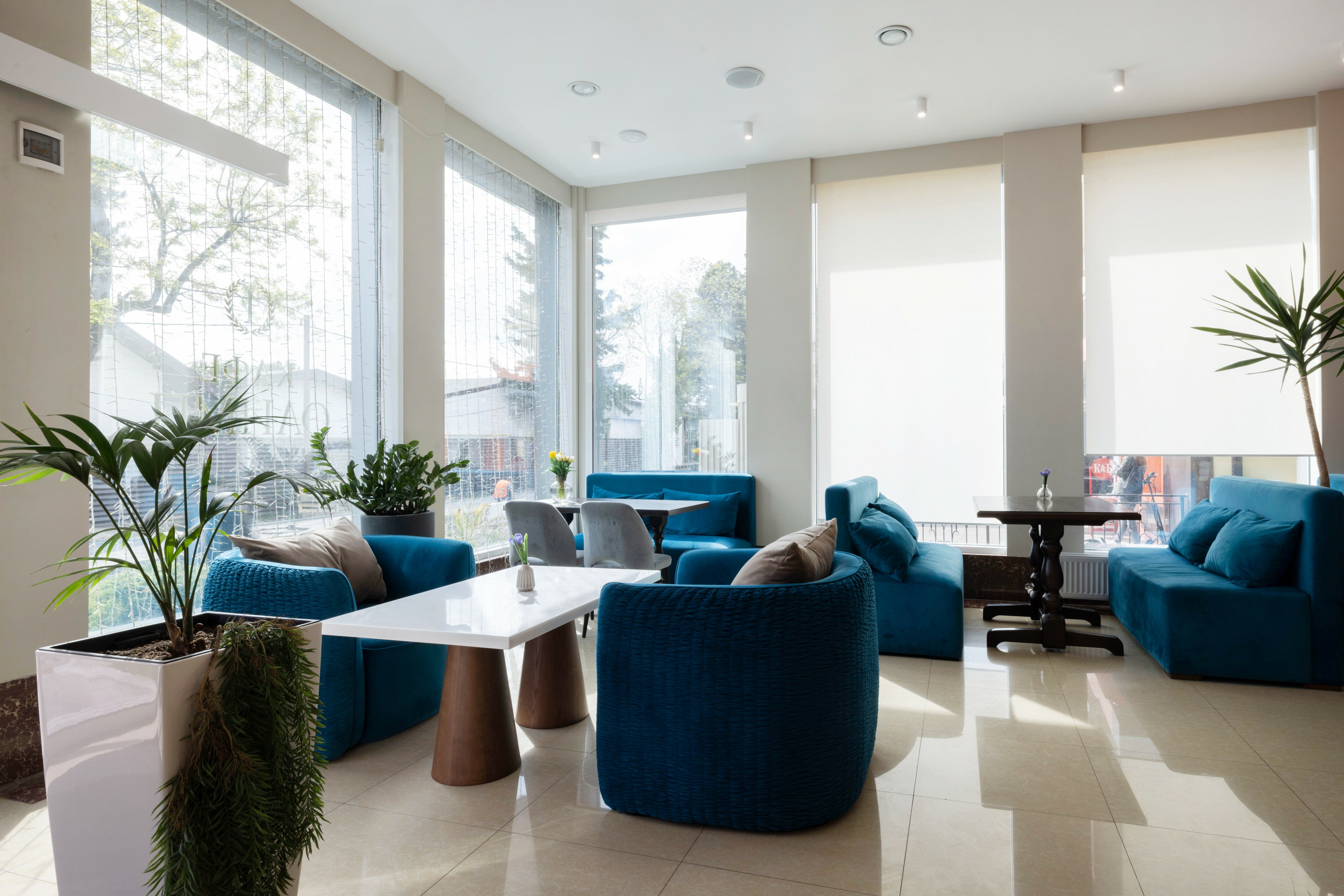 Фото Олимп Первая Линия