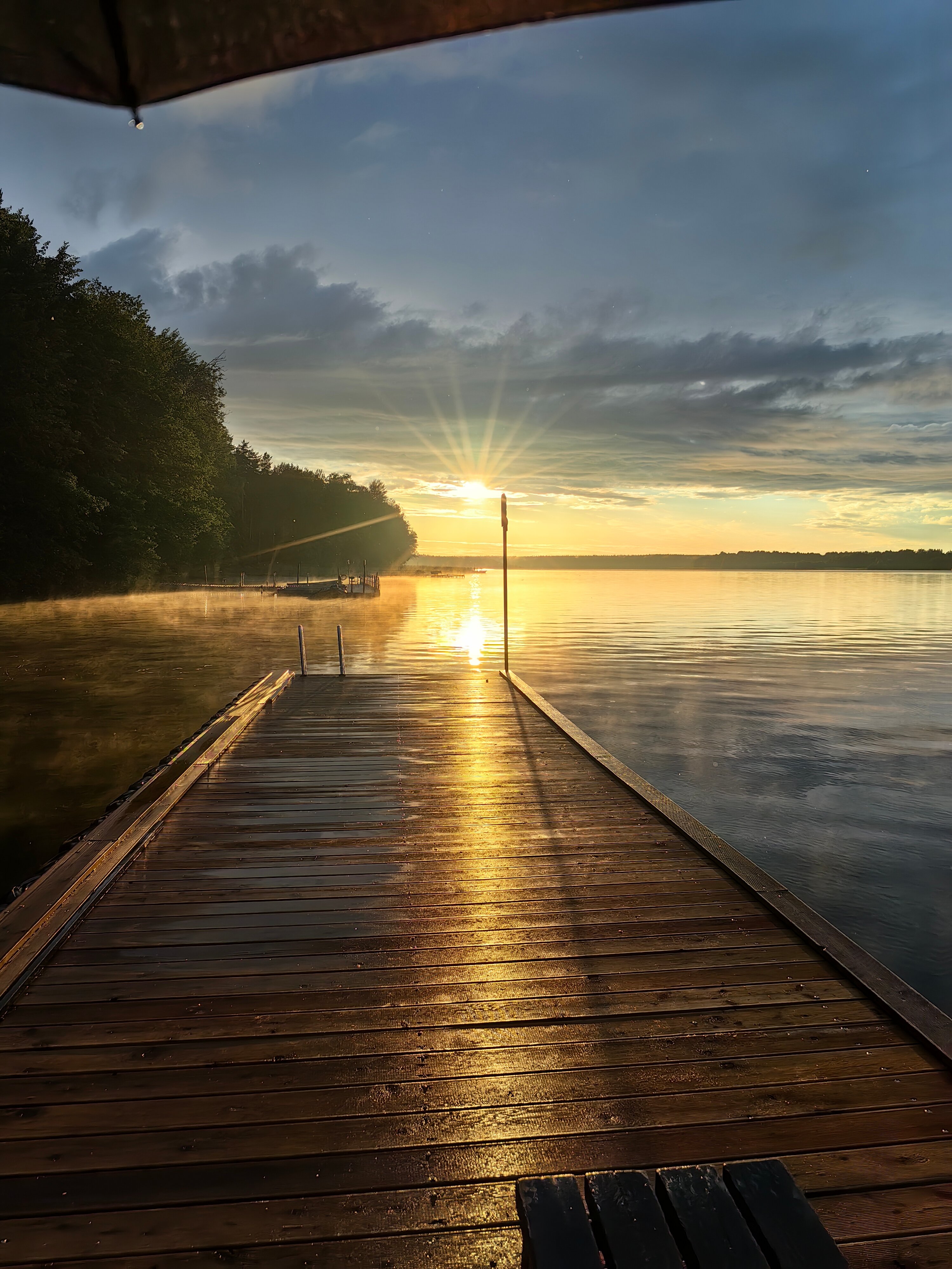 Фото Аврора