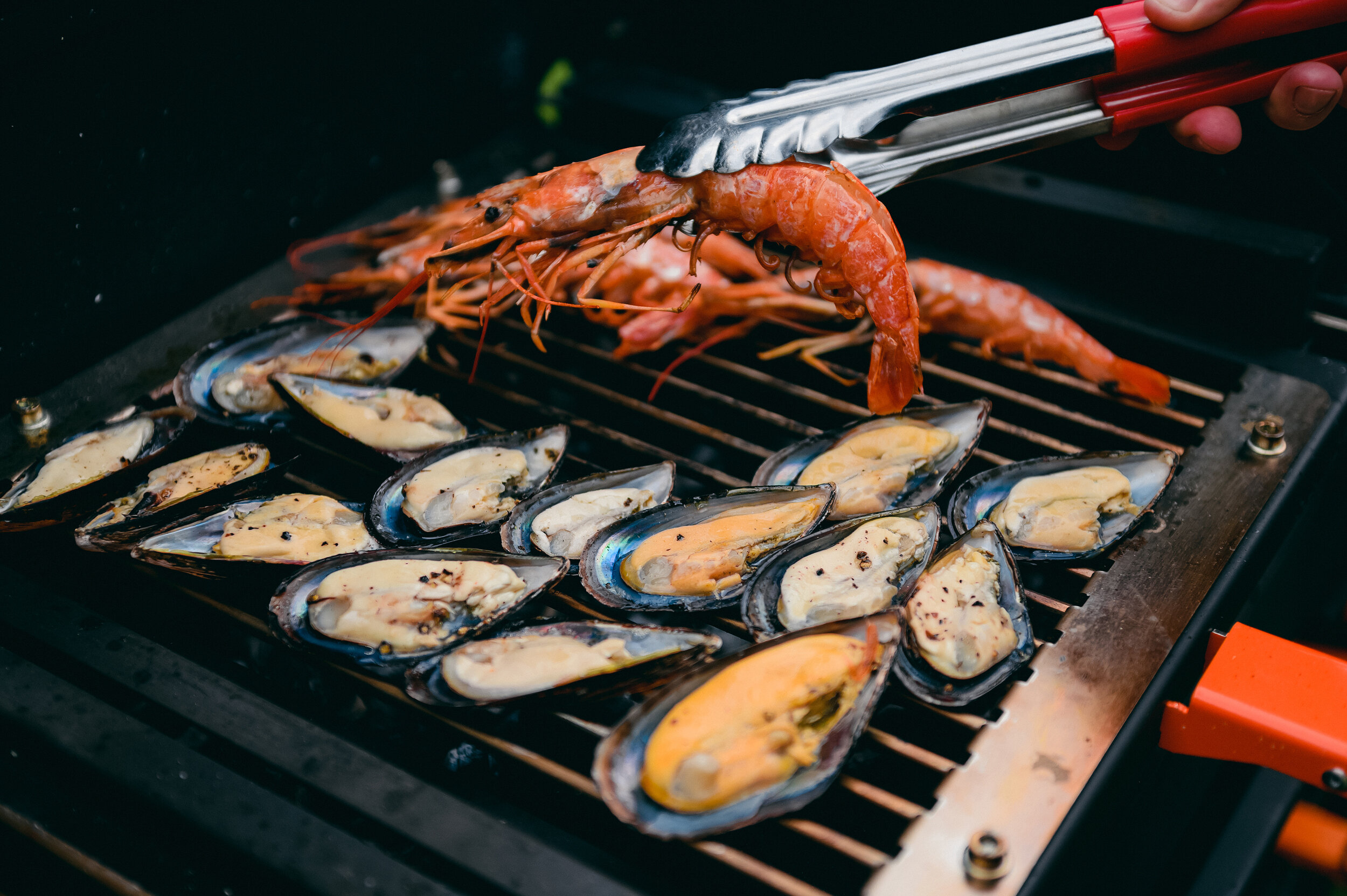 Фото Звездный