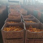 Samarkand-Agro-Product (Farhod Street, 34A) ، المكسرات والوجبات الخفيفة والفواكه المجففة