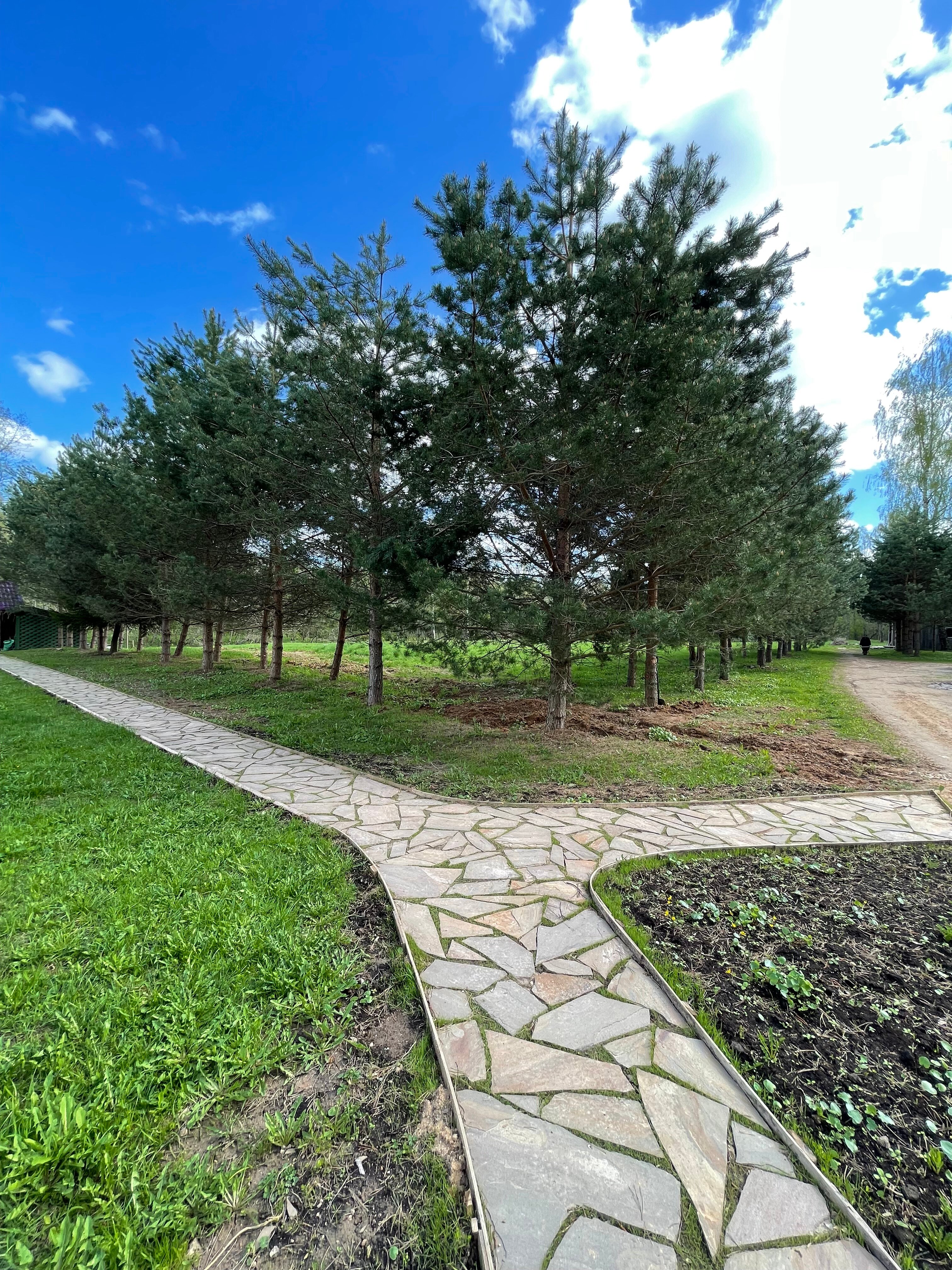 Фото Романов дача