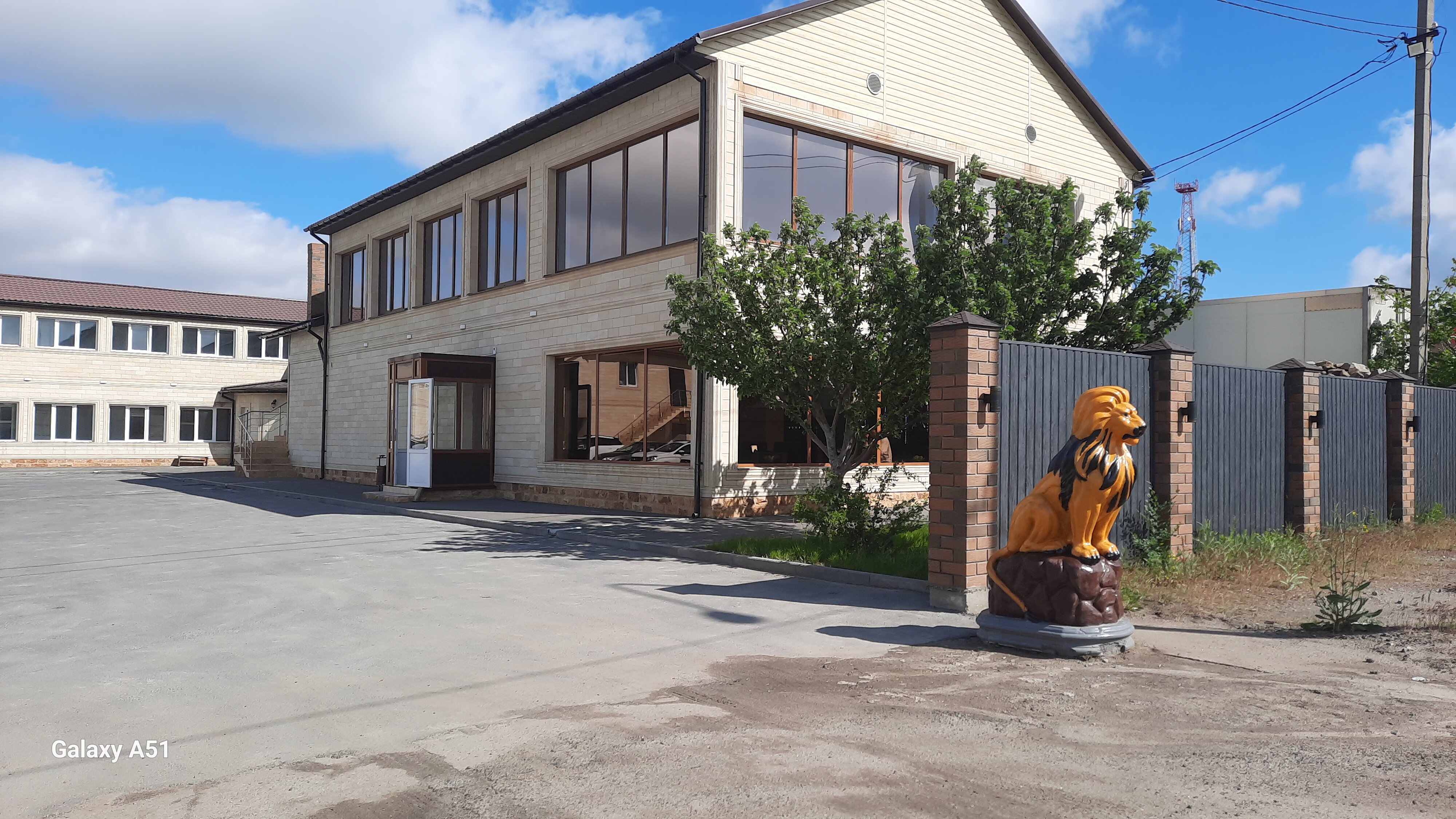 Фото Мирэль