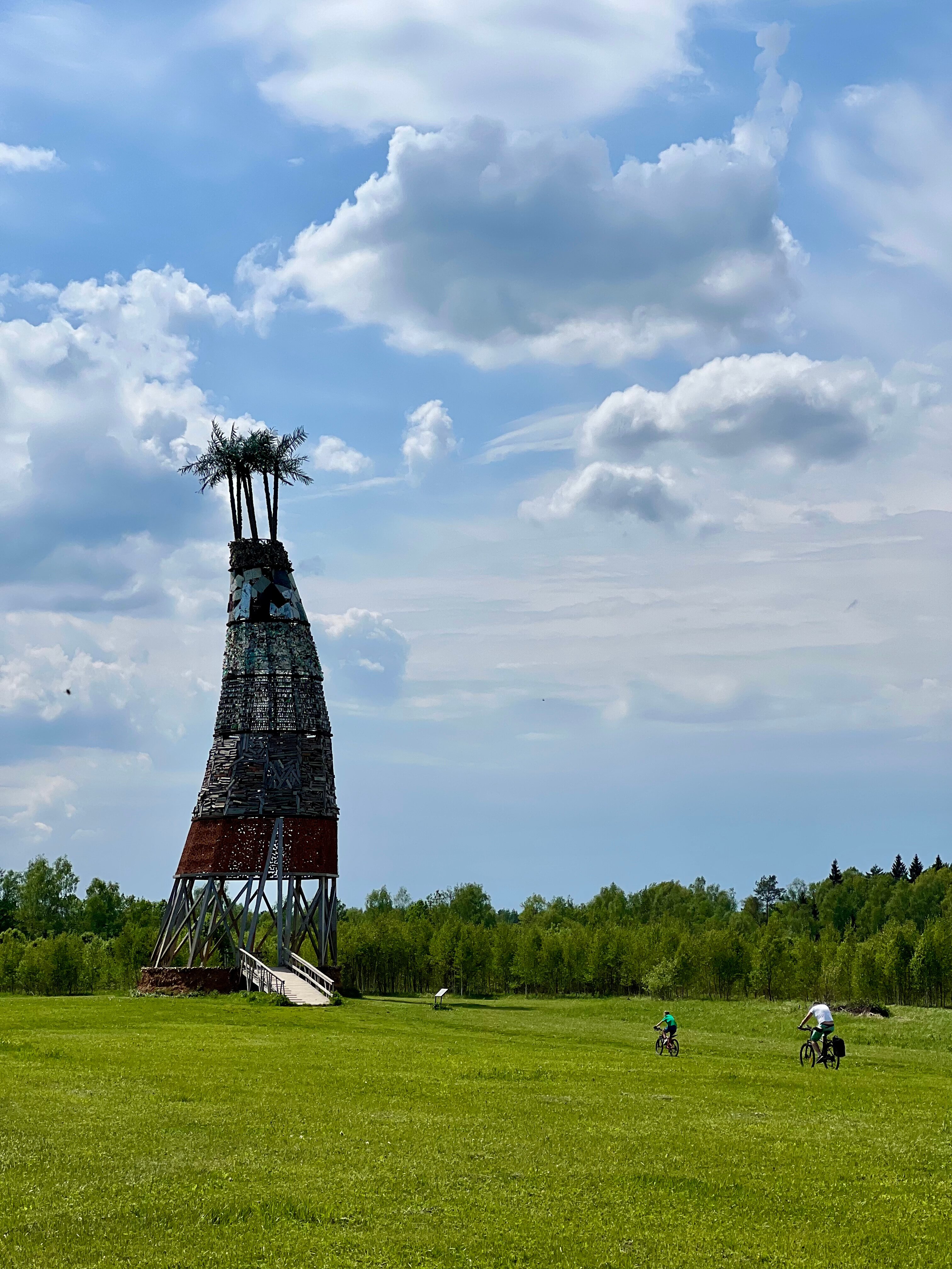 Фото Лаванда