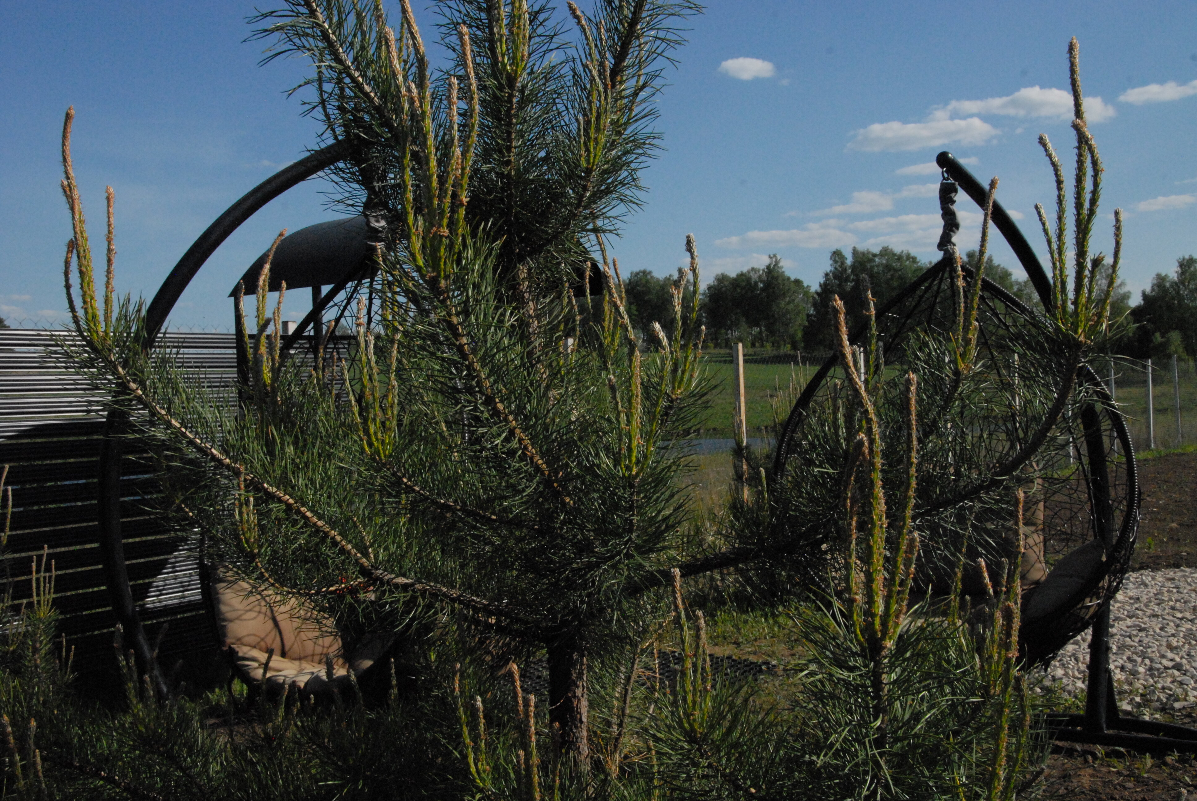 Фото Отдых у реки