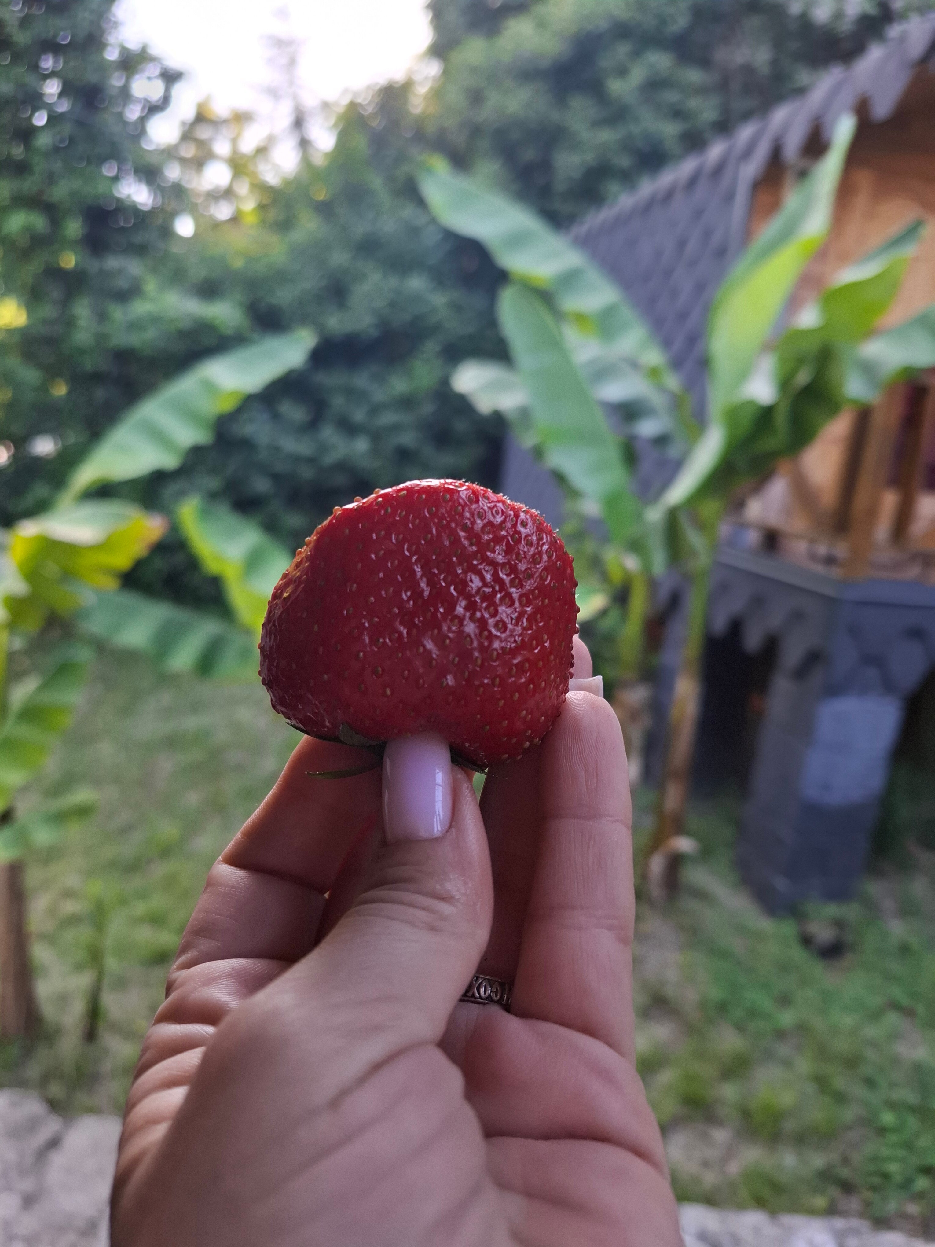 Фото Lodge Korkmaz