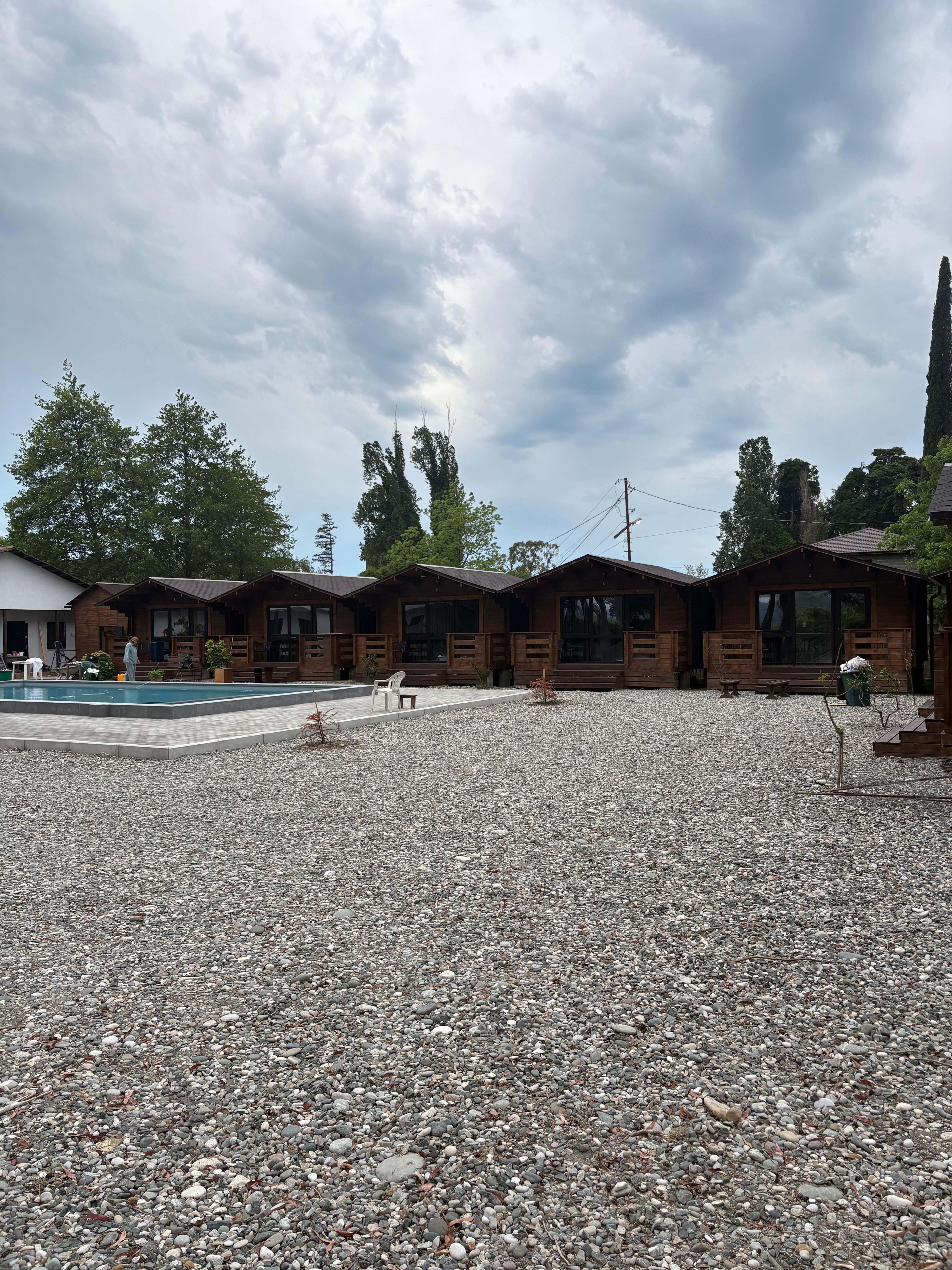 Фото Эвкалипт