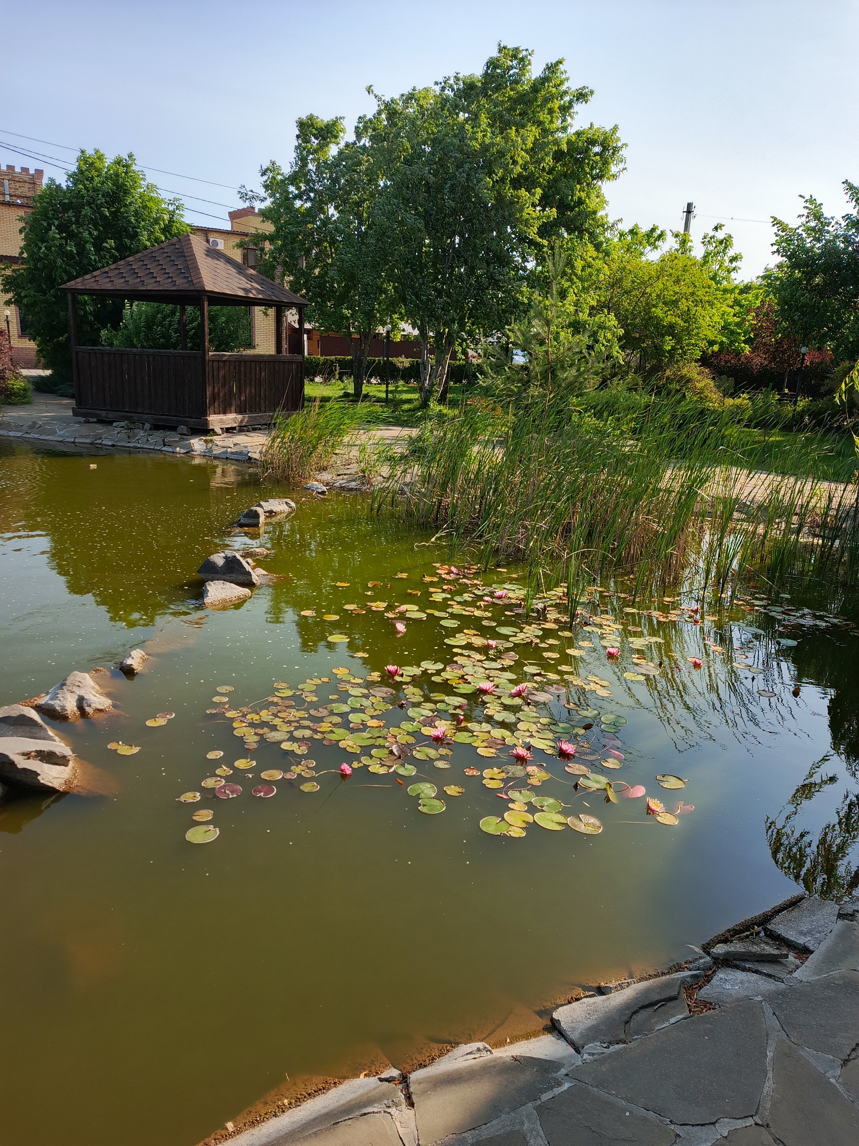 Фото Лазурное