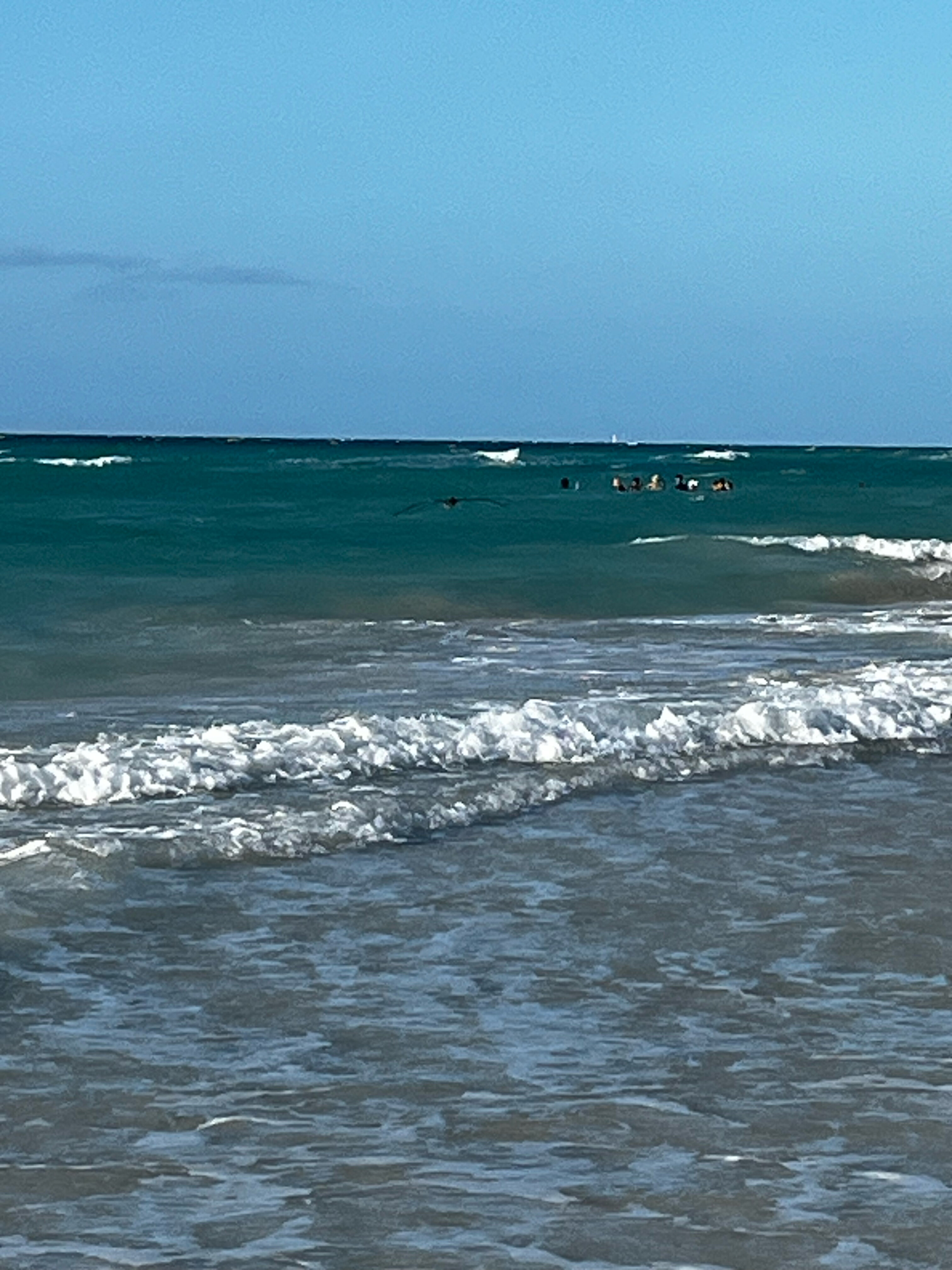 Фото Melia Las Americas