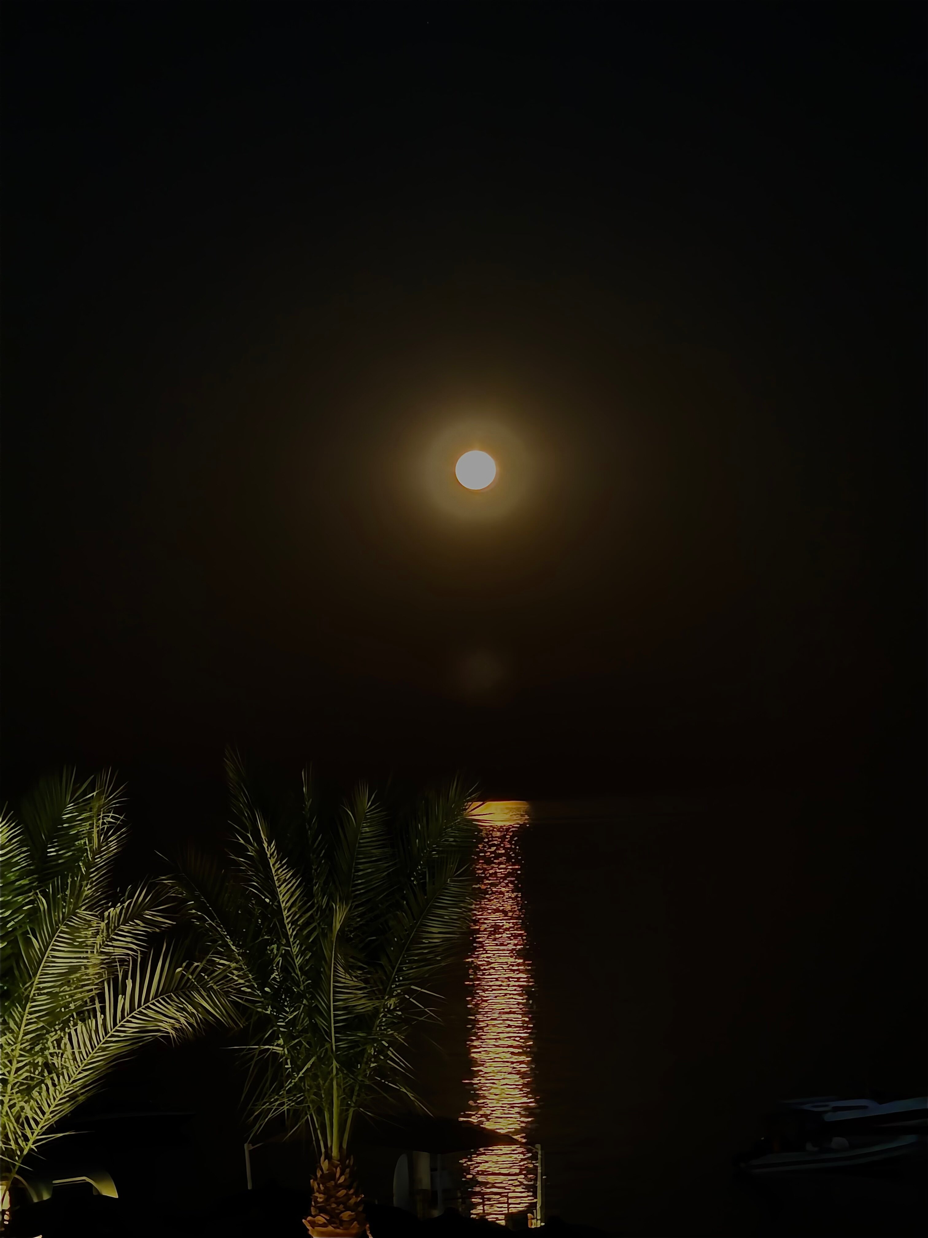 Фото Meraki Resort Sharm El Sheikh