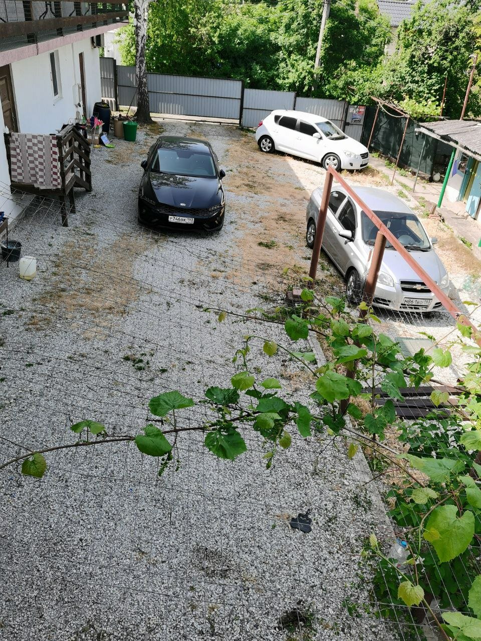 Фото Наталья