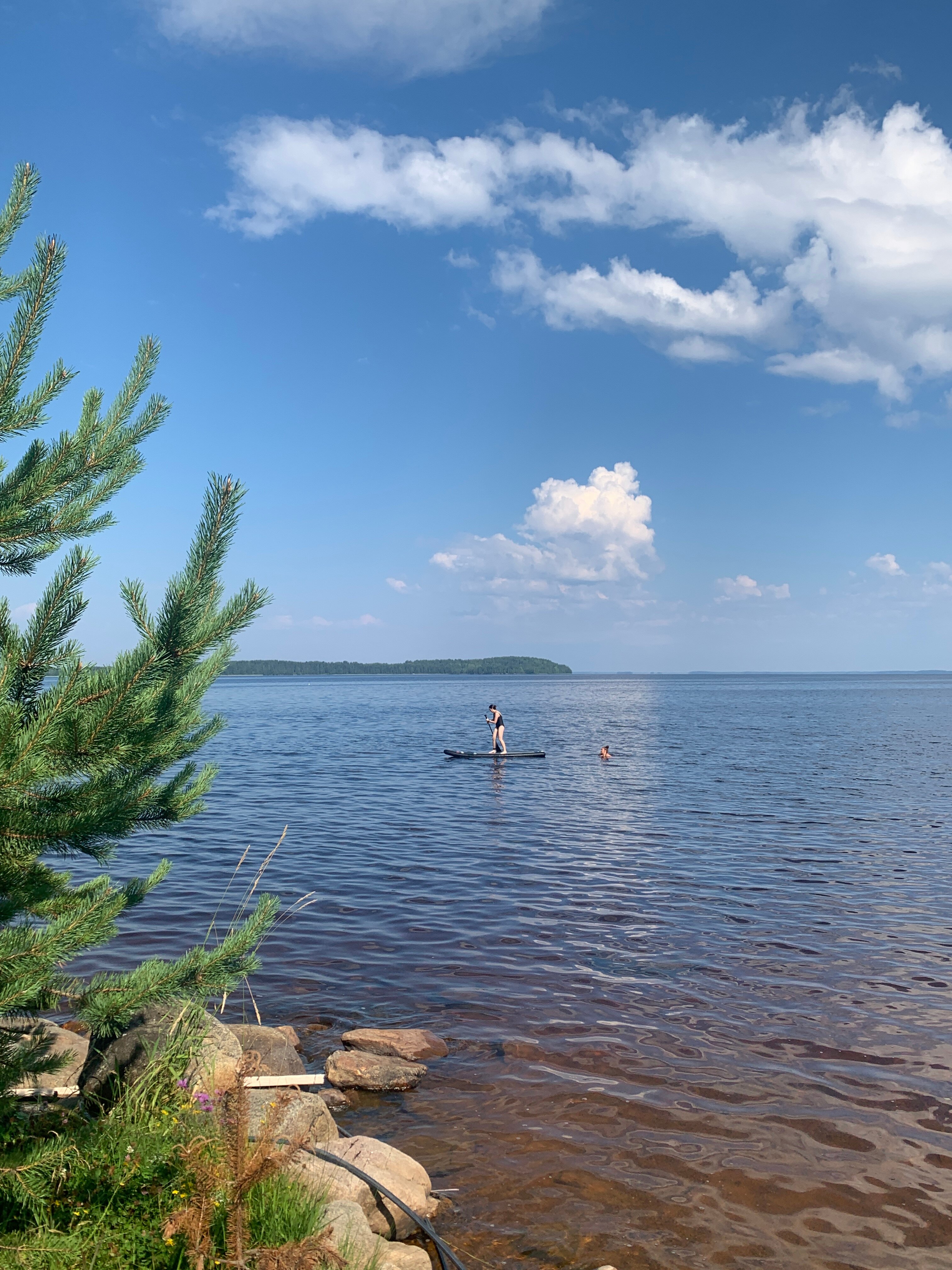 Фото Kodi järvi