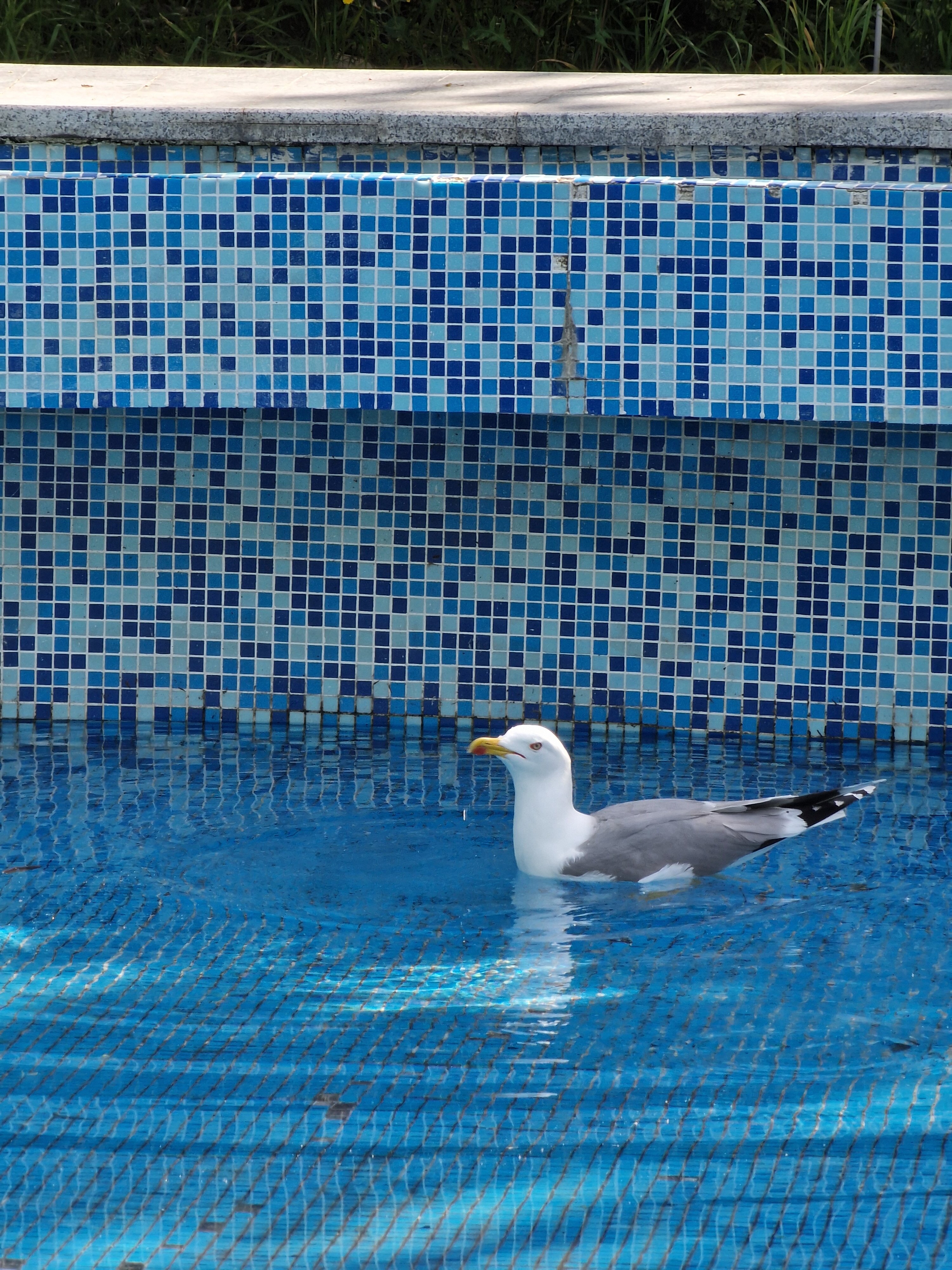 Фото Санаторий имени М. В. Фрунзе