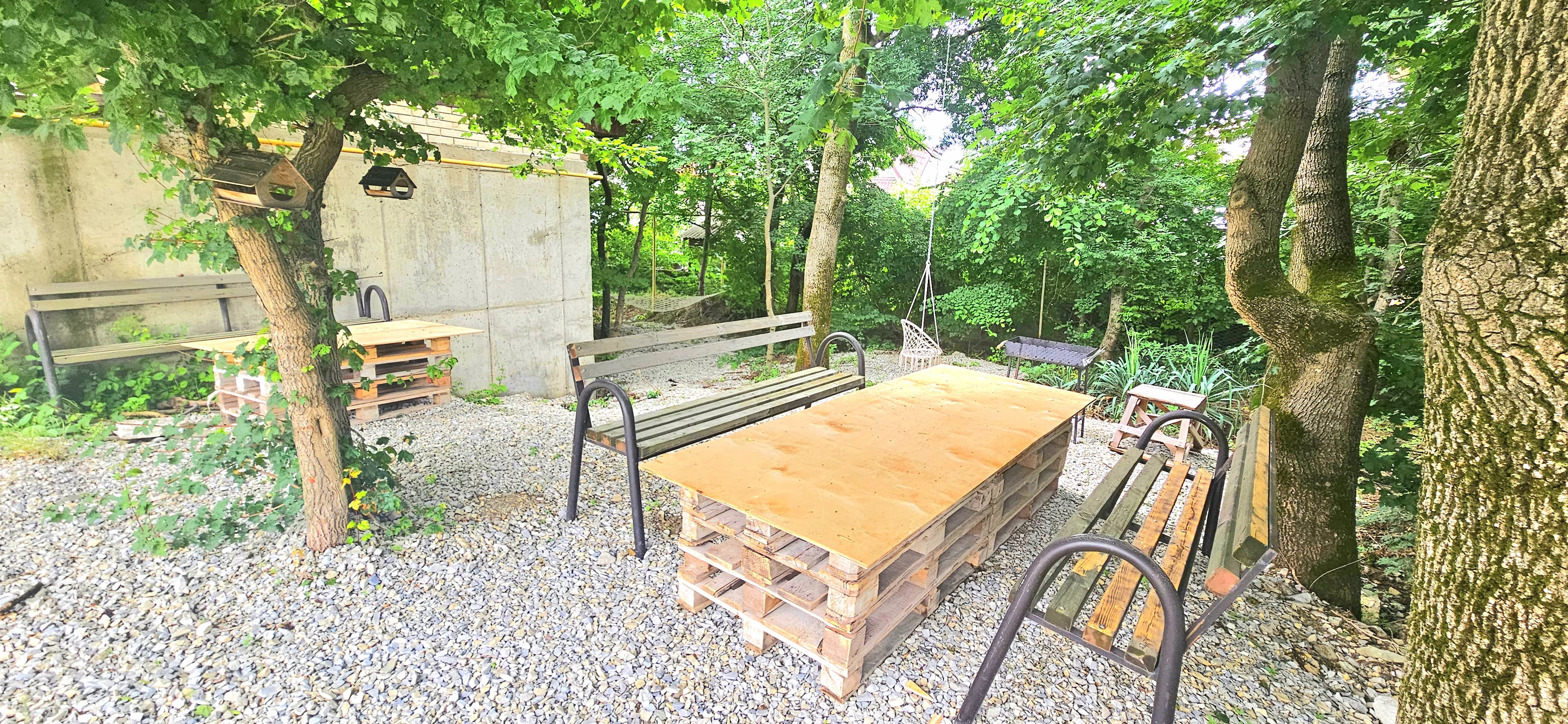 Фото Барсук