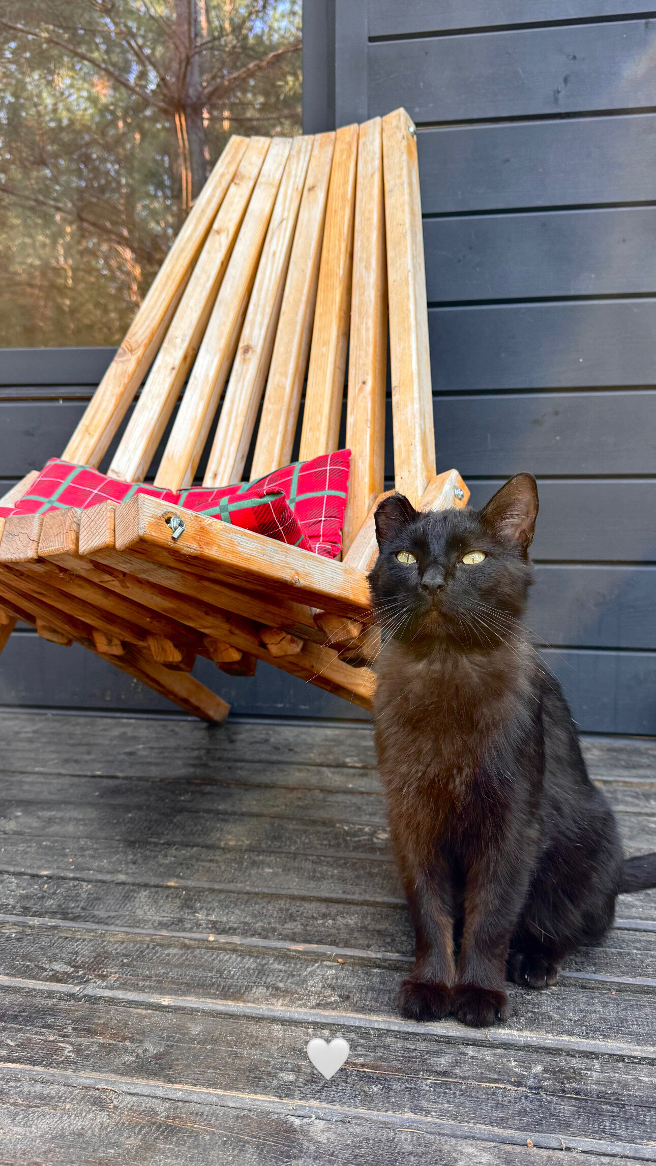 Фото Место счастья