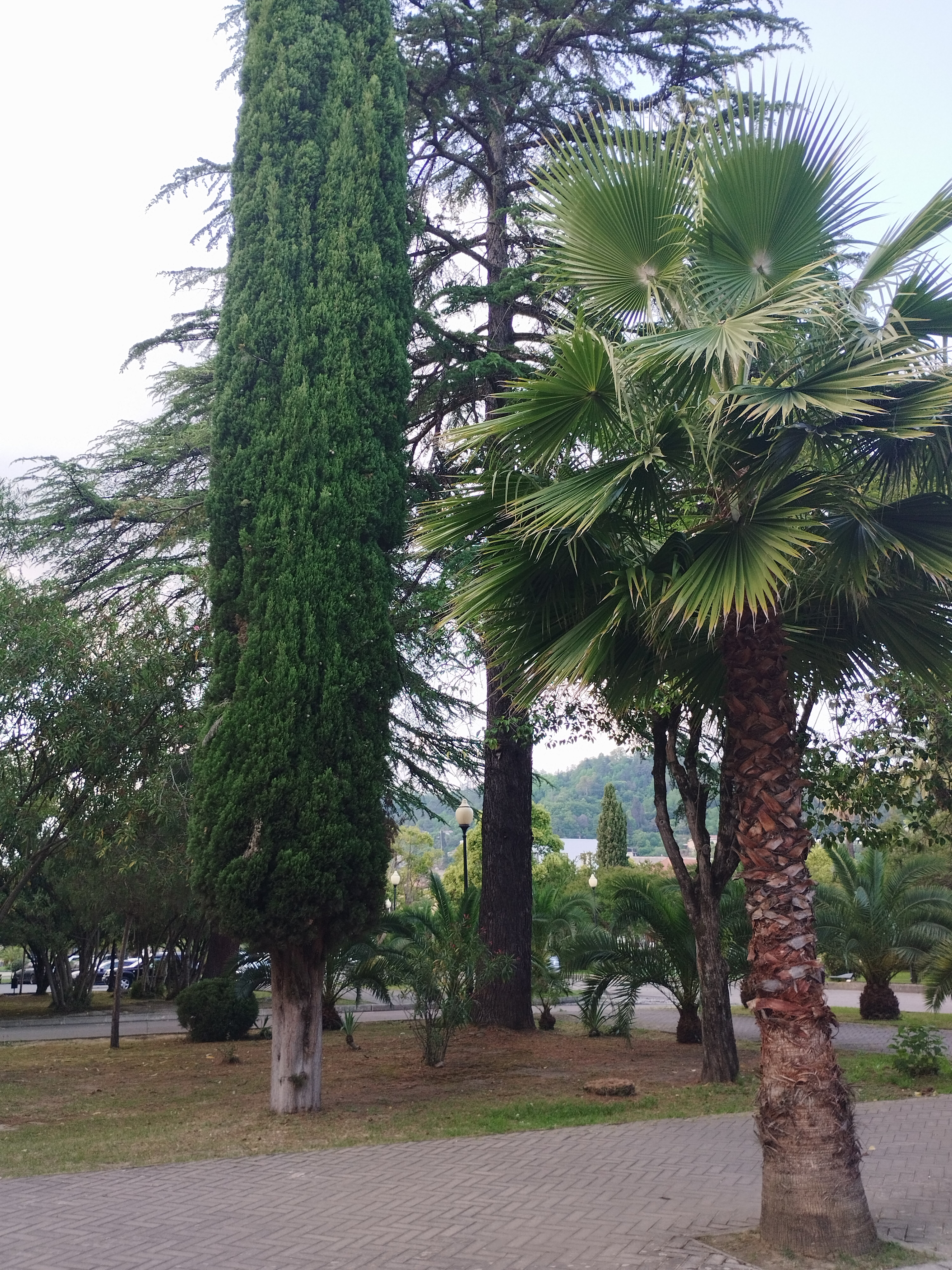 Фото У моря