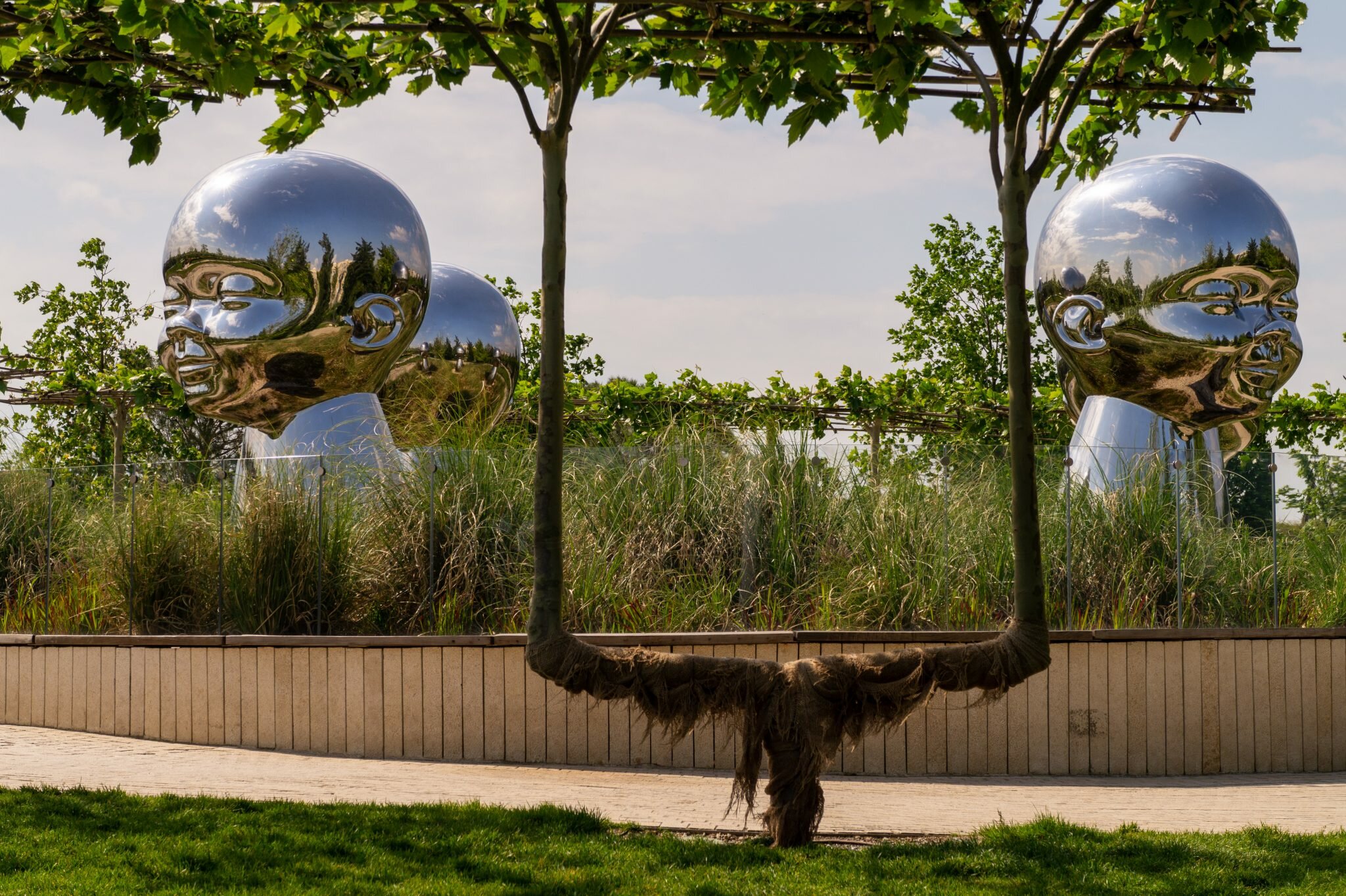 Фото Ласточка