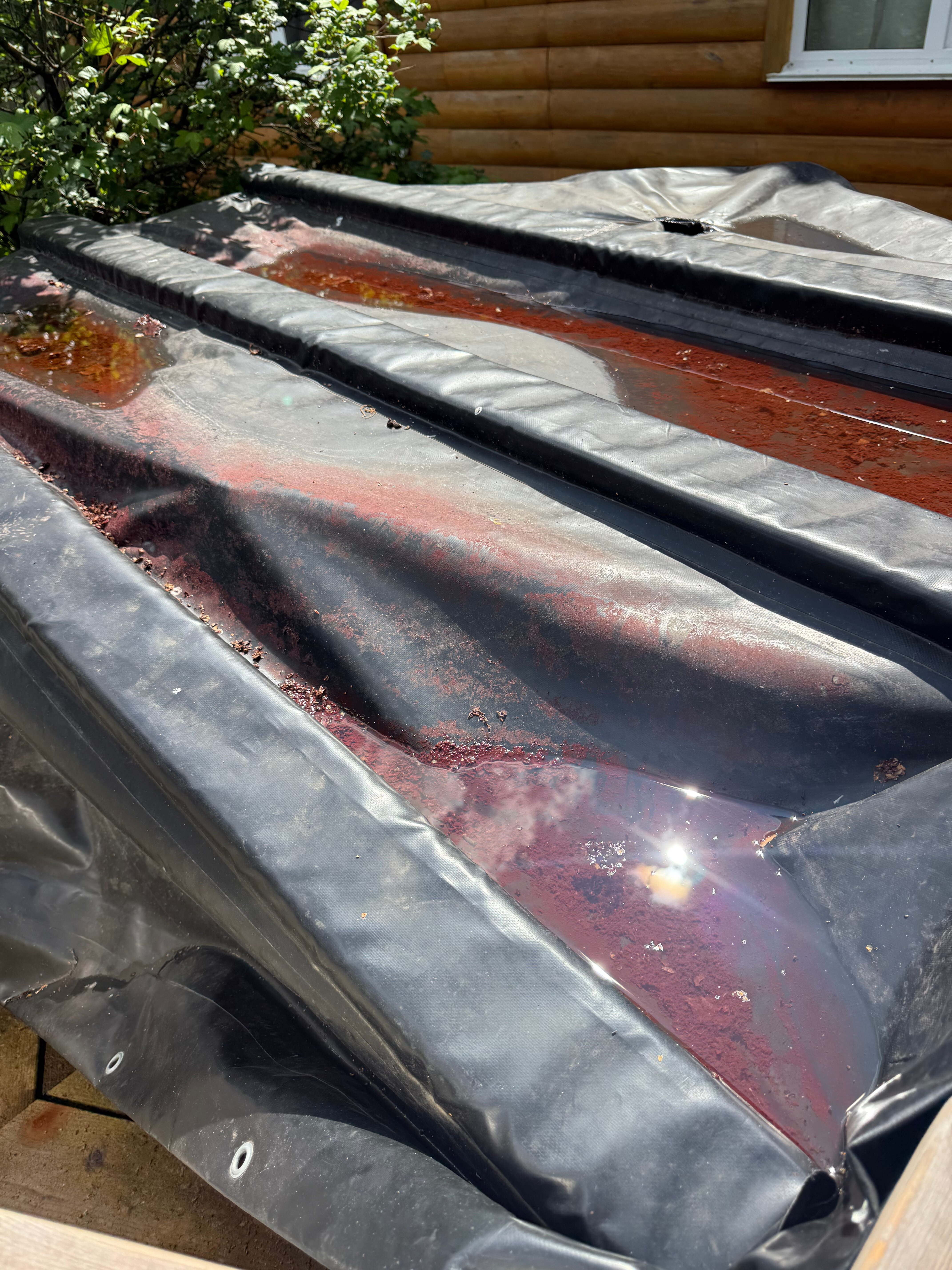 Фото Берлога