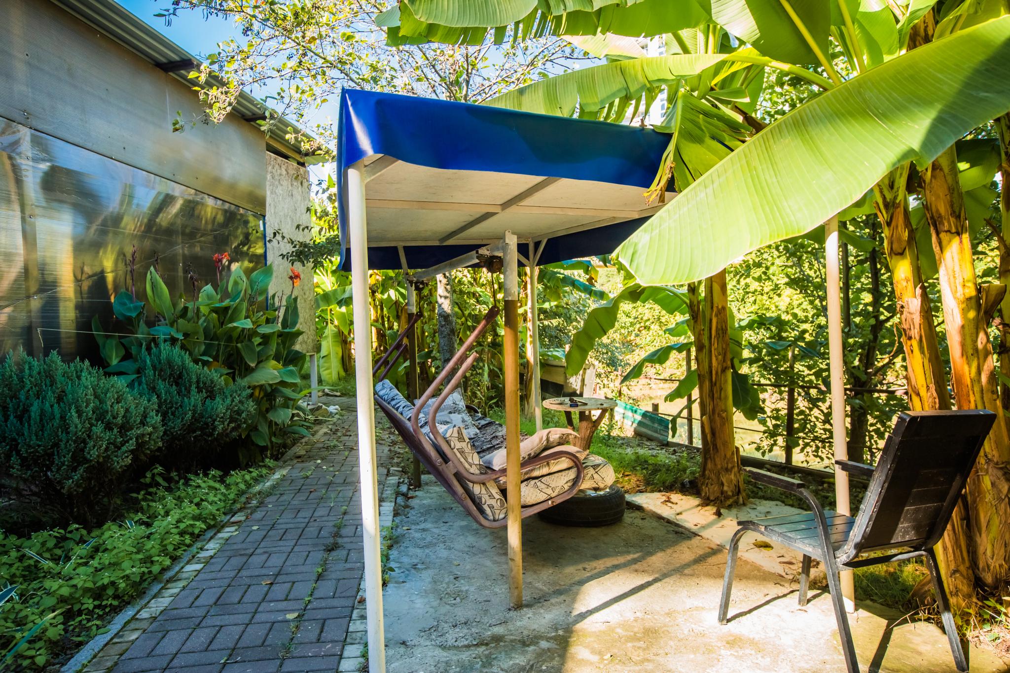 Фото Dream House