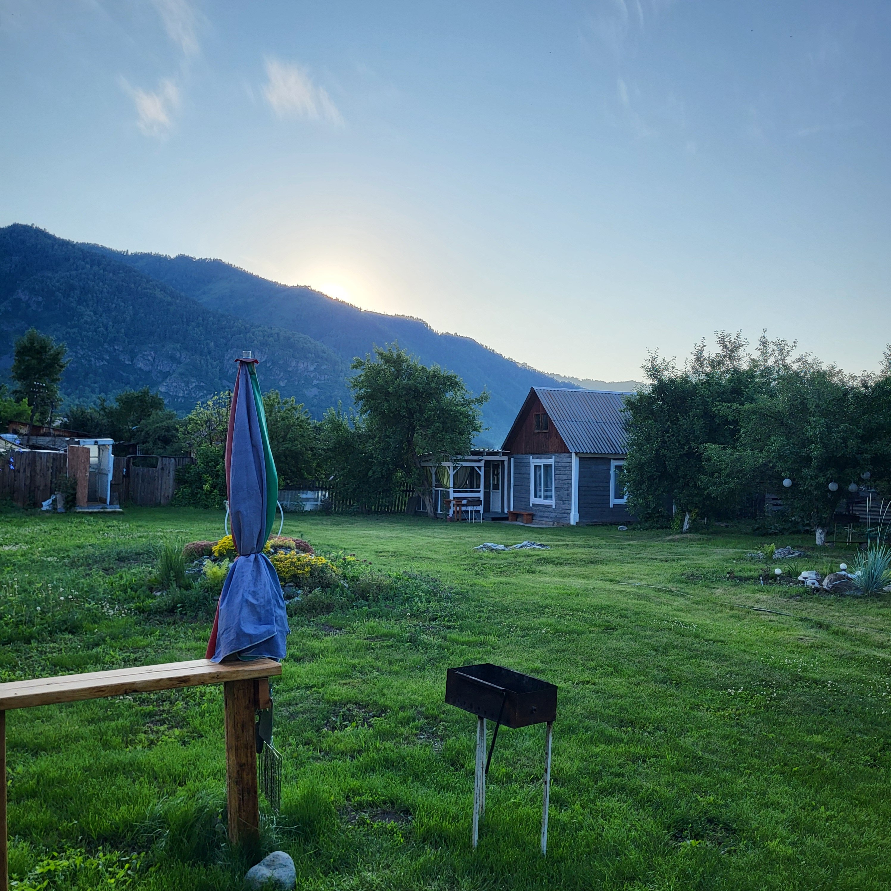 Фото Ель и кедр