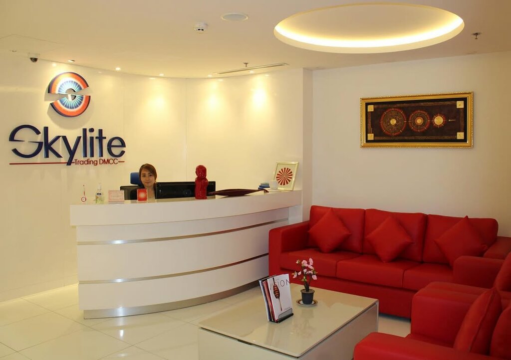 Wholesale company Skylite Trading, Dubai, photo