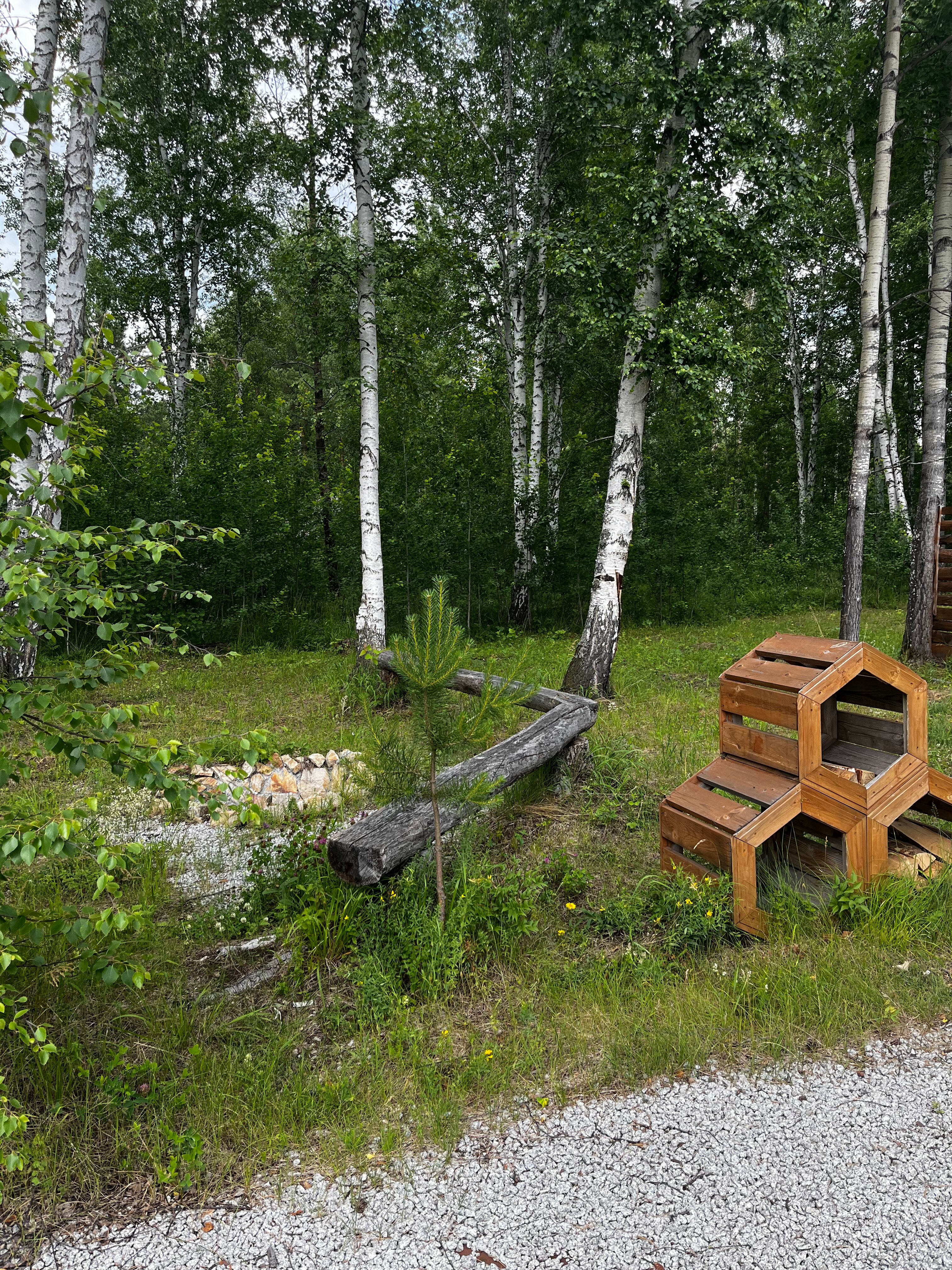 Фото Тихий Кот