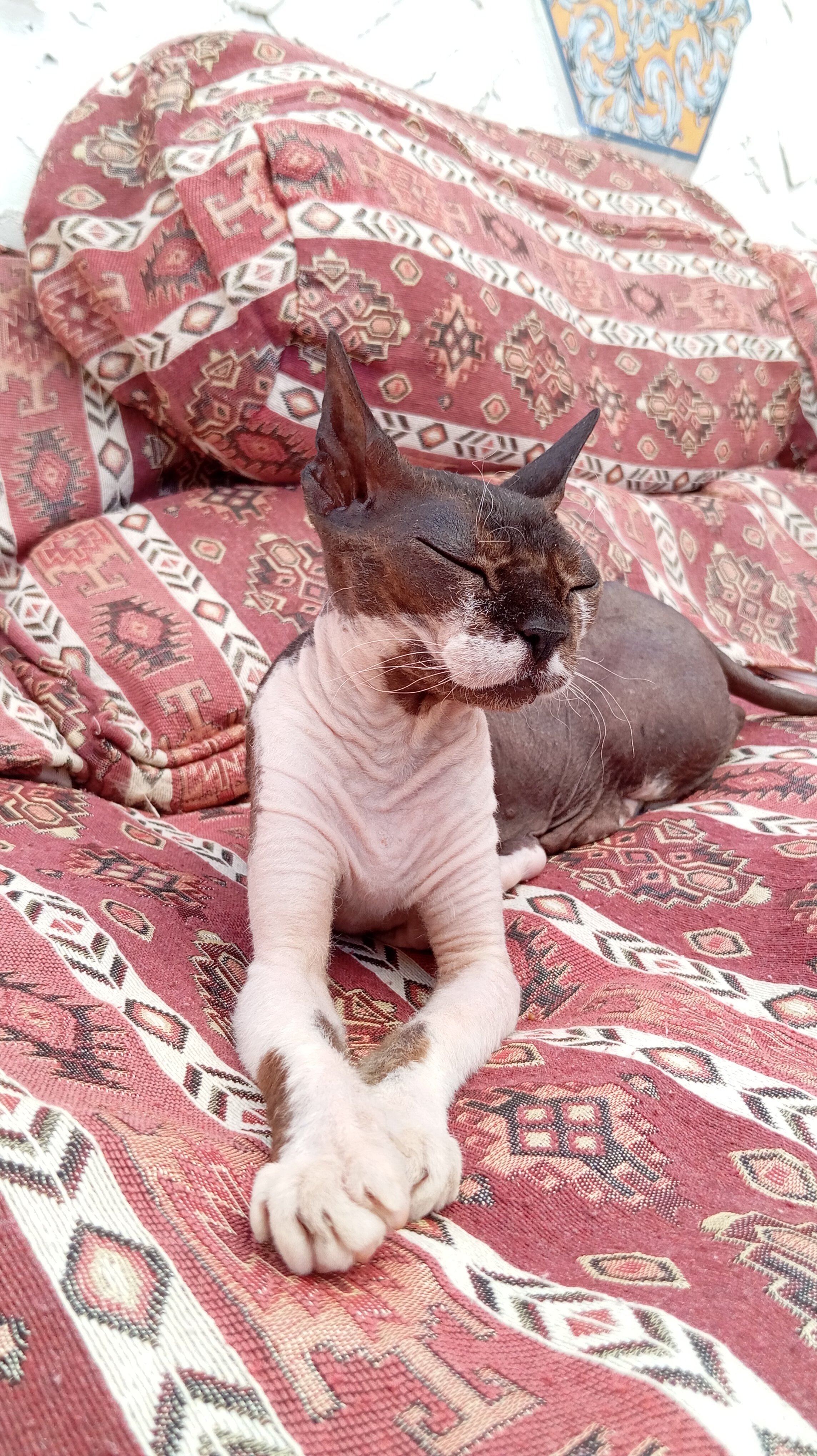 Фото Вилла Монте Маре