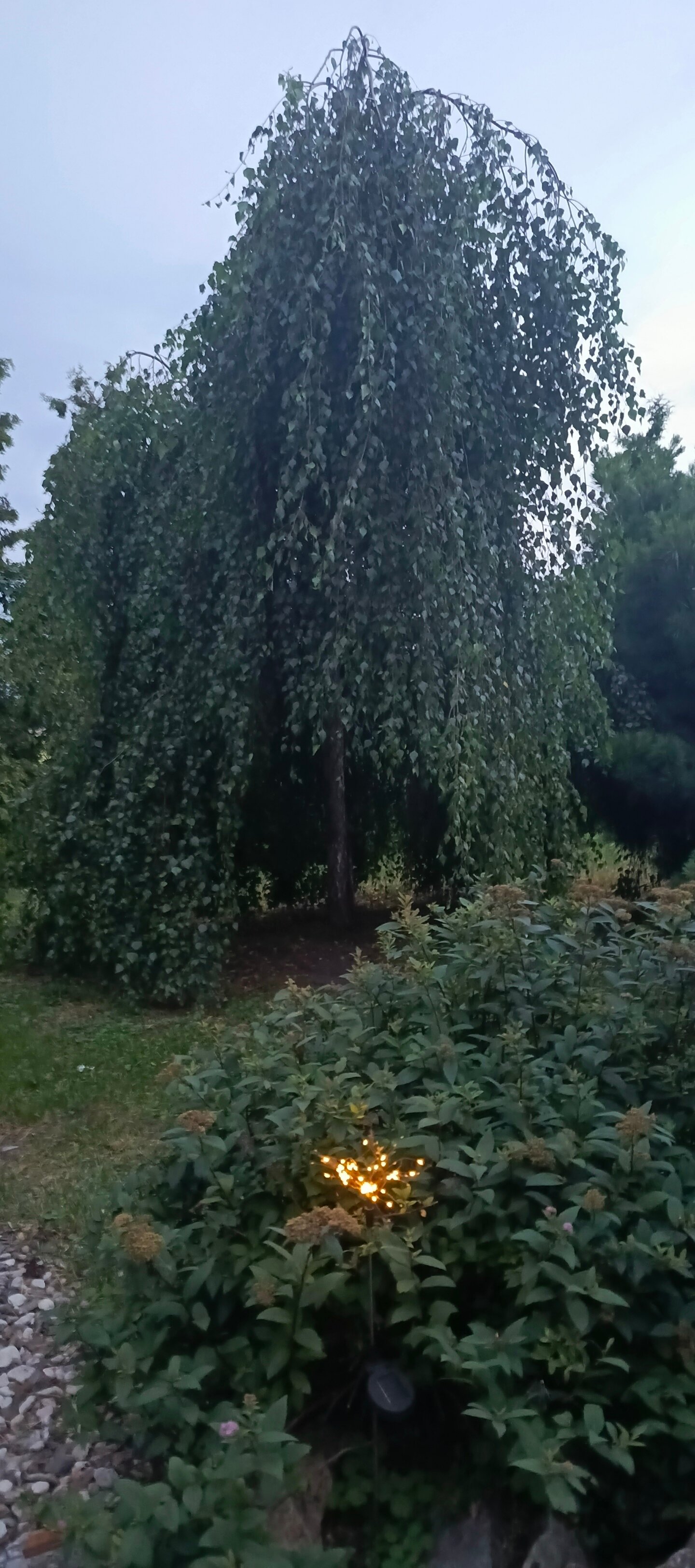 Фото River House