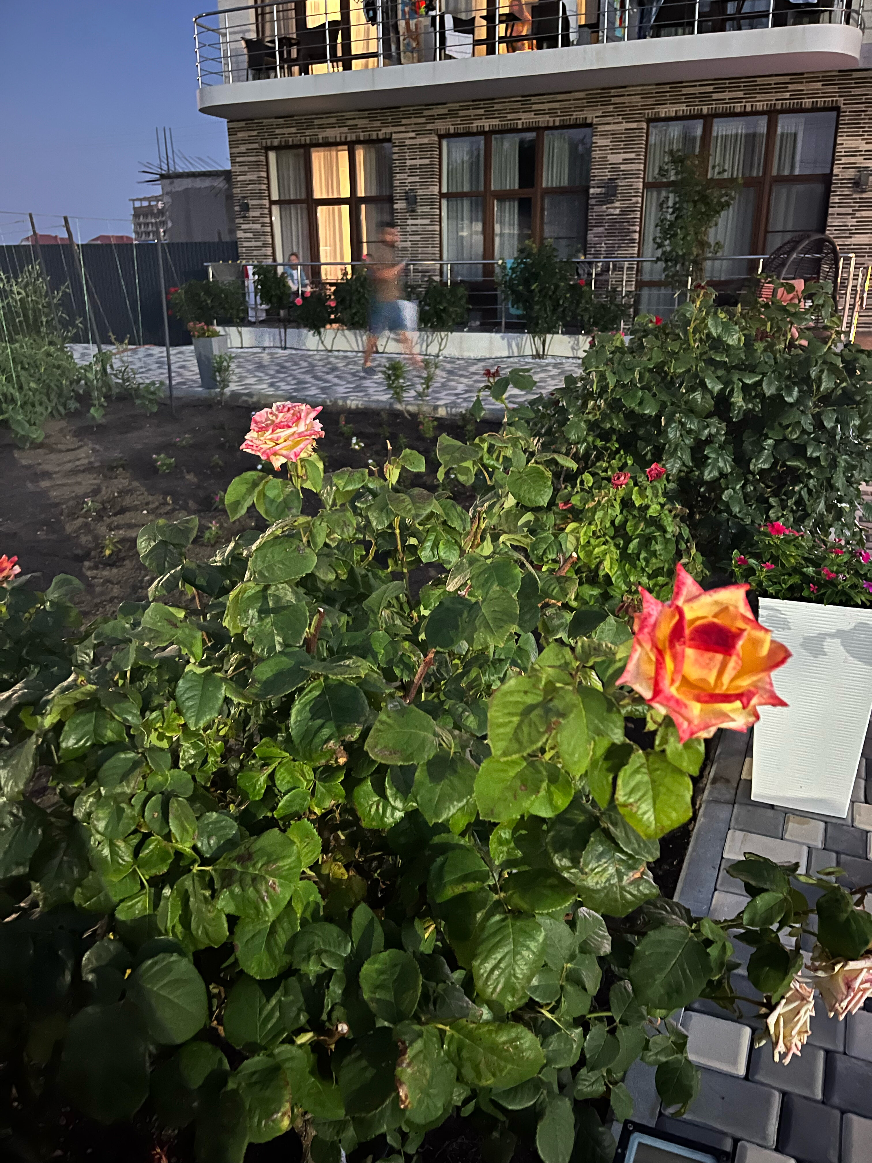 Фото Никос плаза