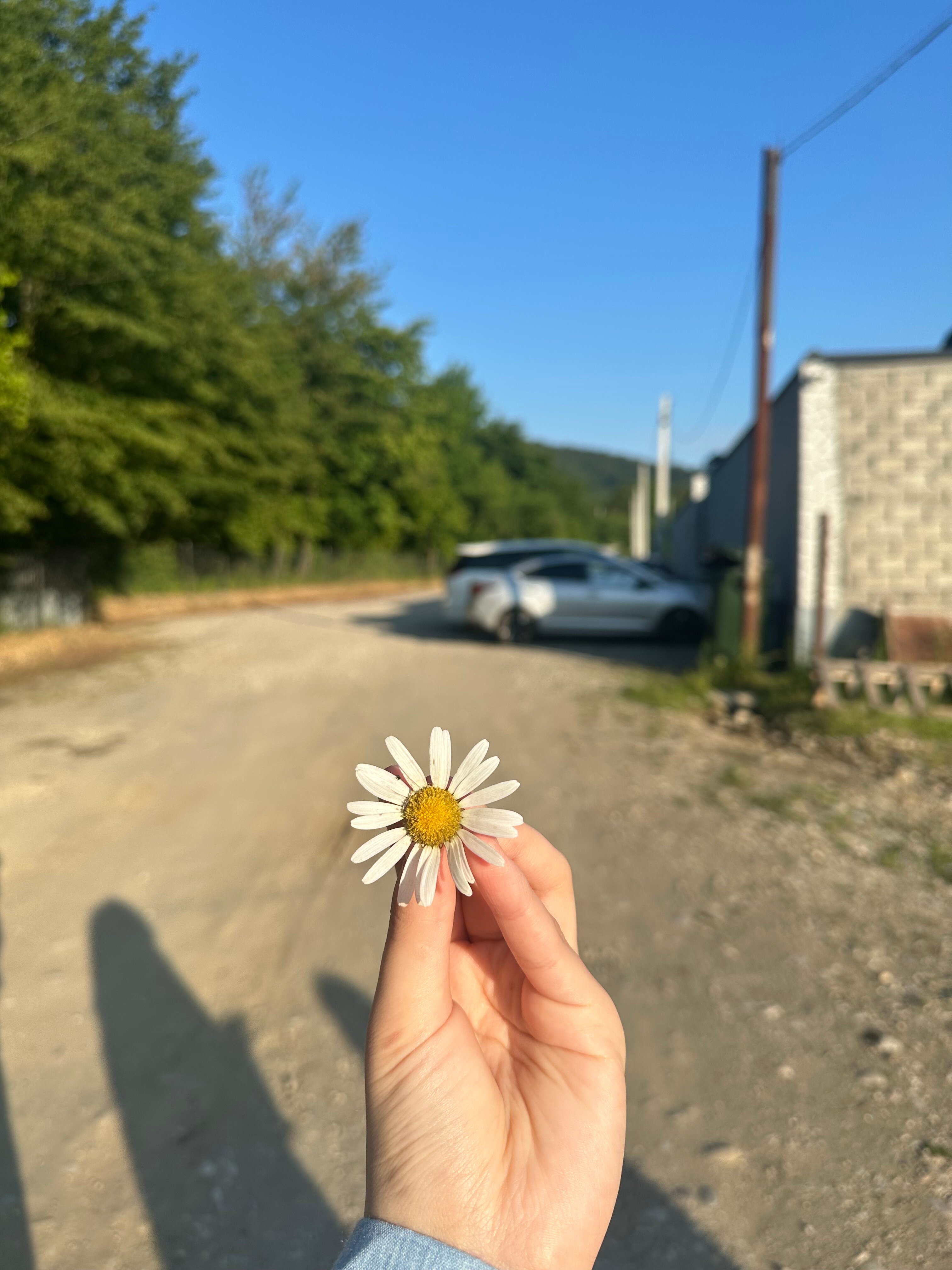 Фото Hills горный берег