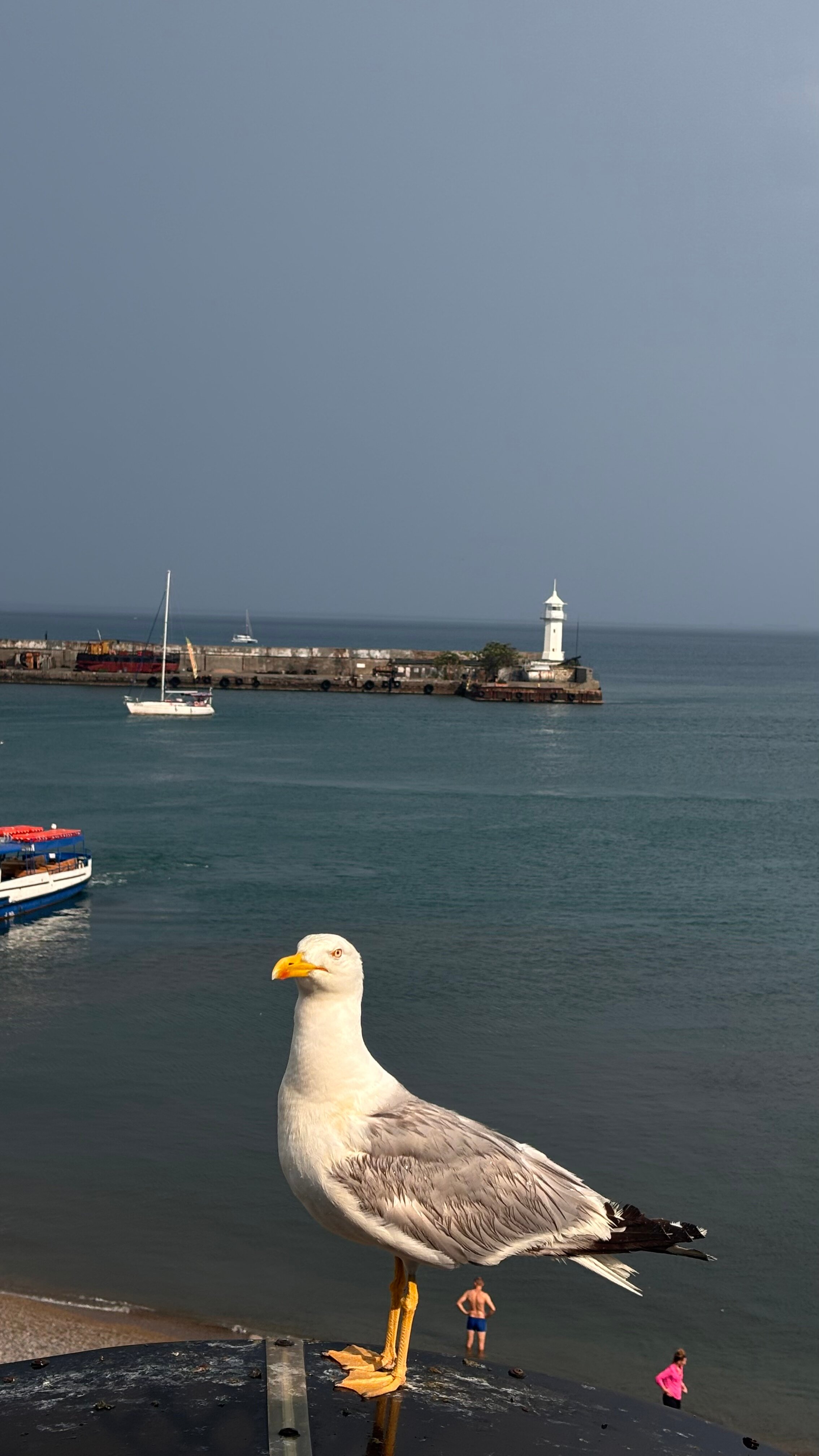 Фото Дворик на Морской
