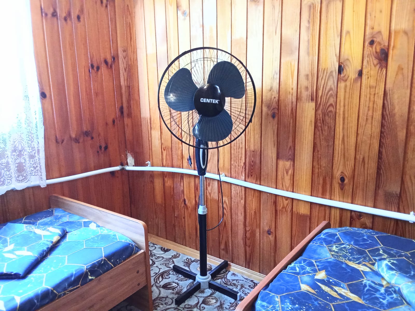 Фото Маракуйя