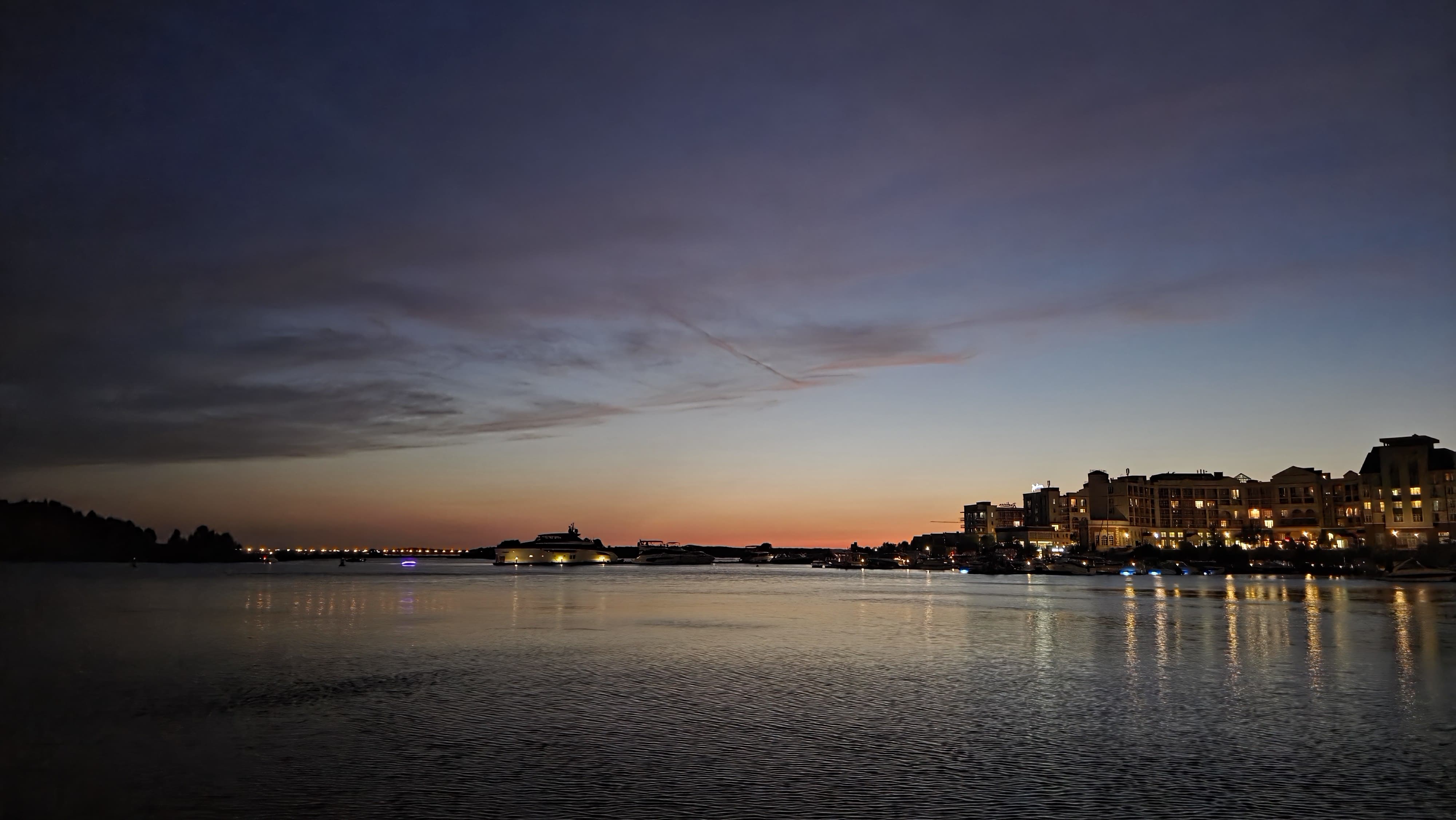 Фото Рябина от Васта