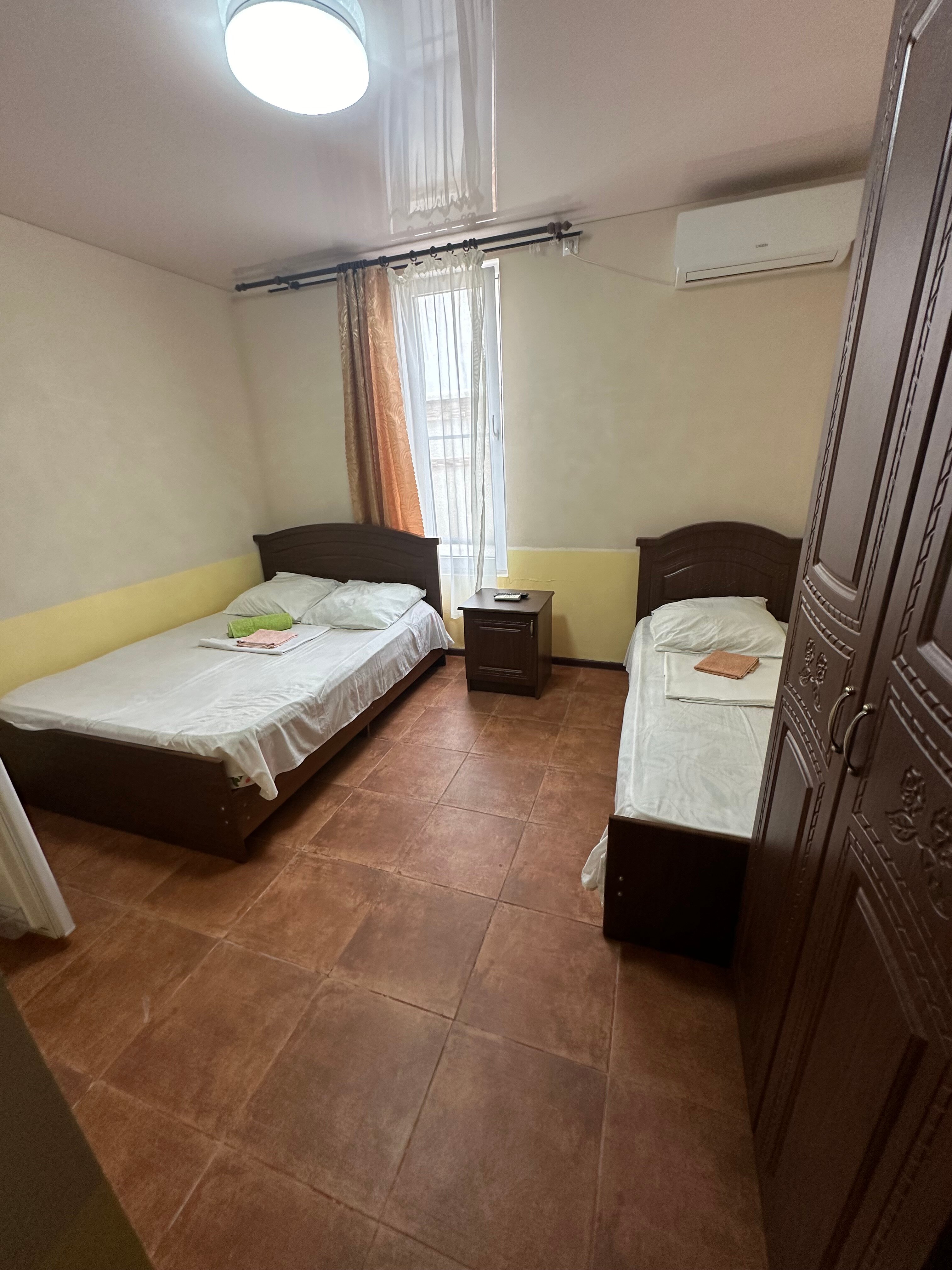 Фото Пальма Финик