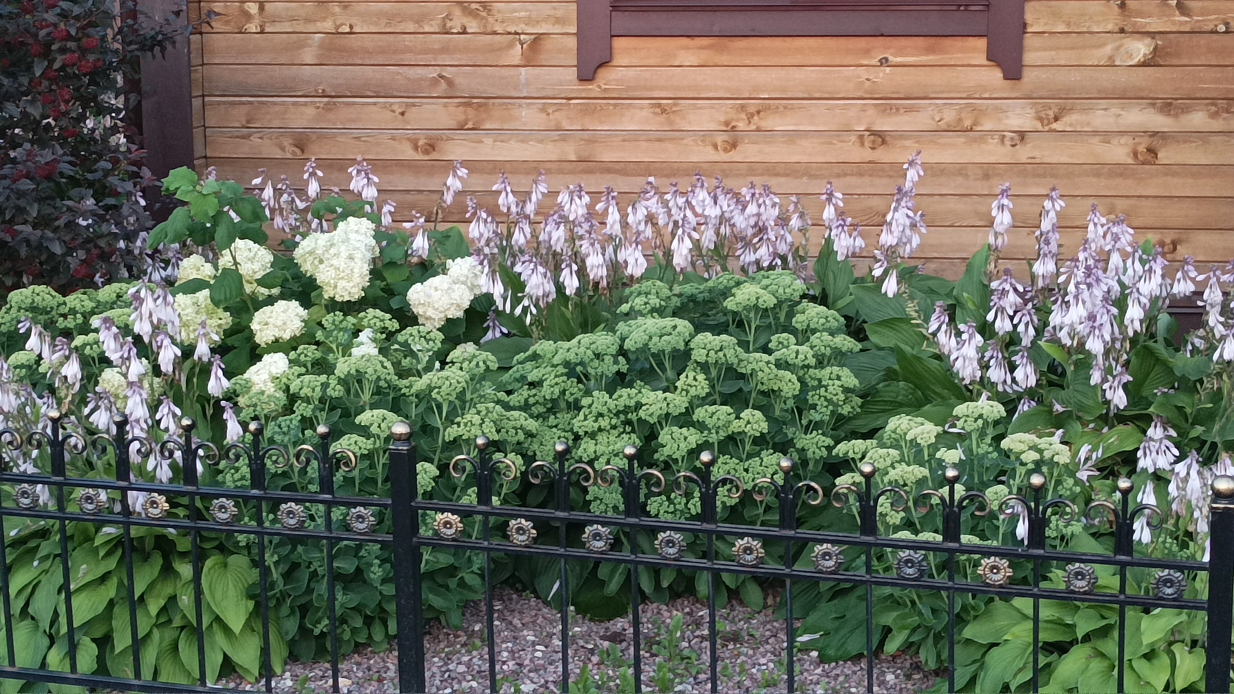 Фото Прибрежный