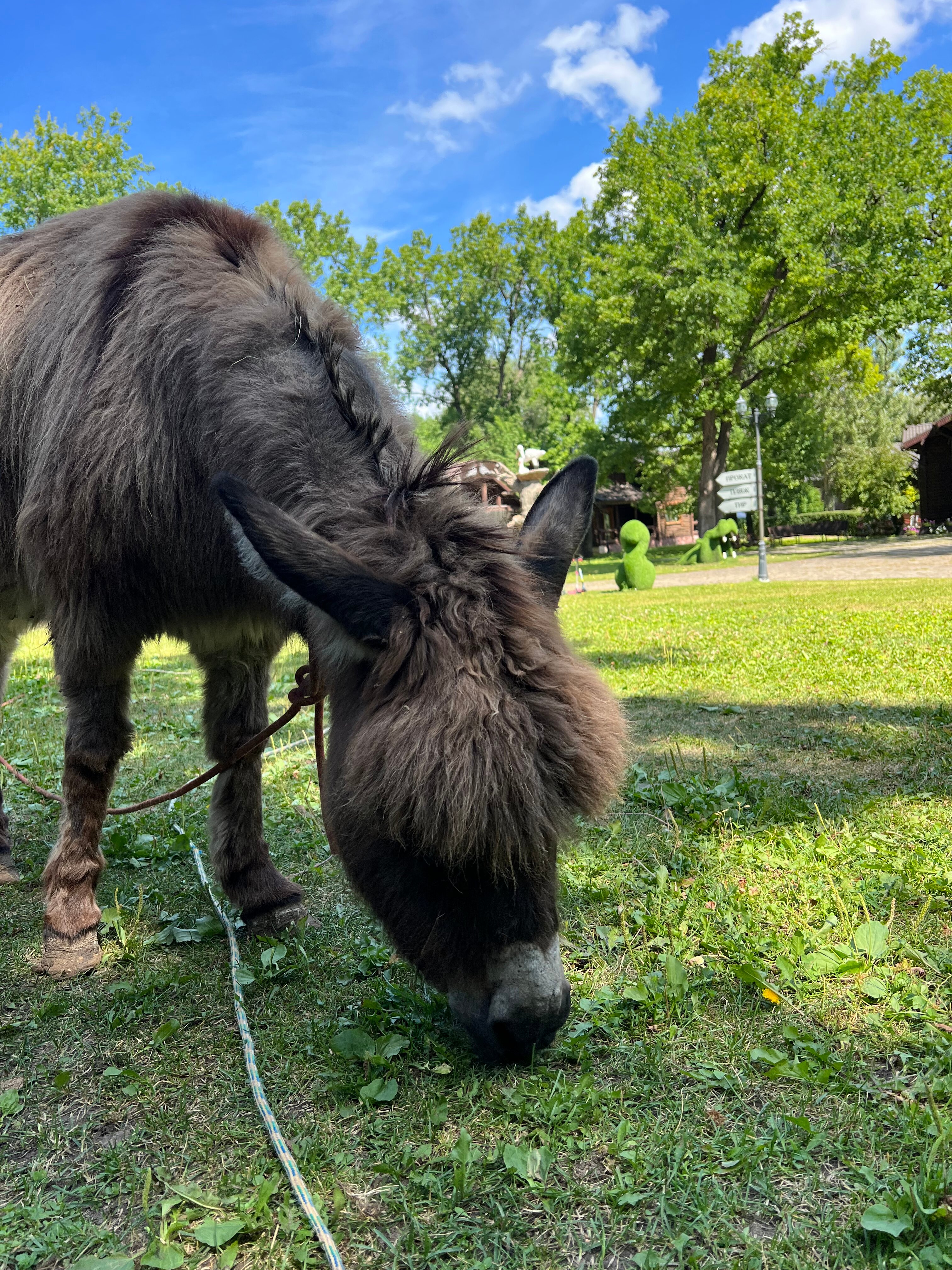 Фото Васильевский