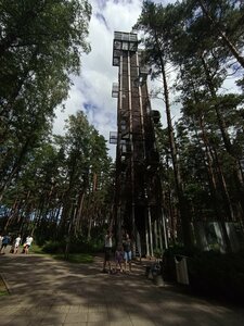 Skatu platforma (Jurmala, park Dzintaru), observation deck